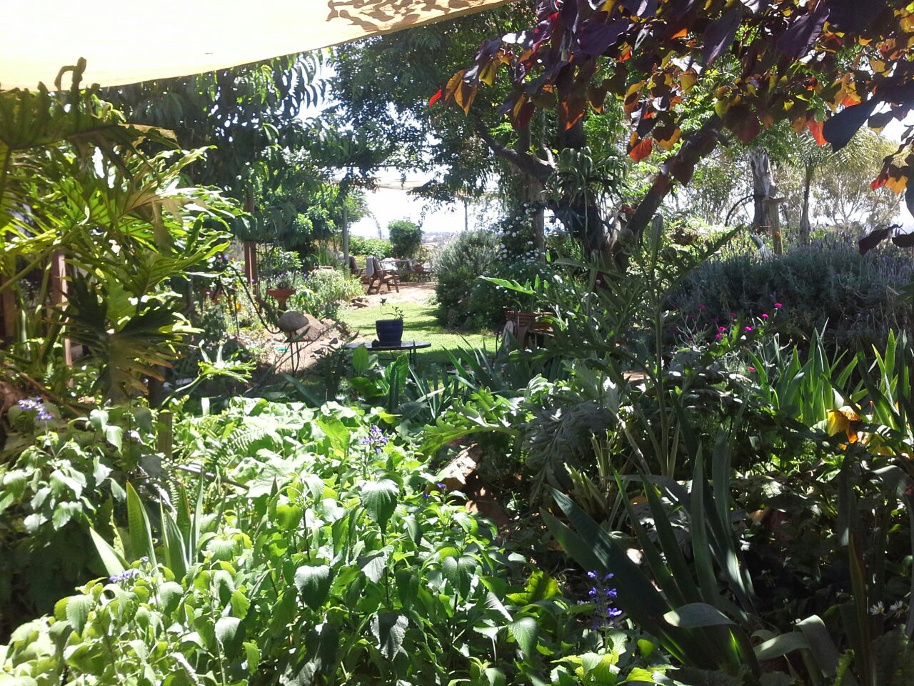 The Ruffled Rooster Guest Suites For Rent In Springhurst Victoria Australia