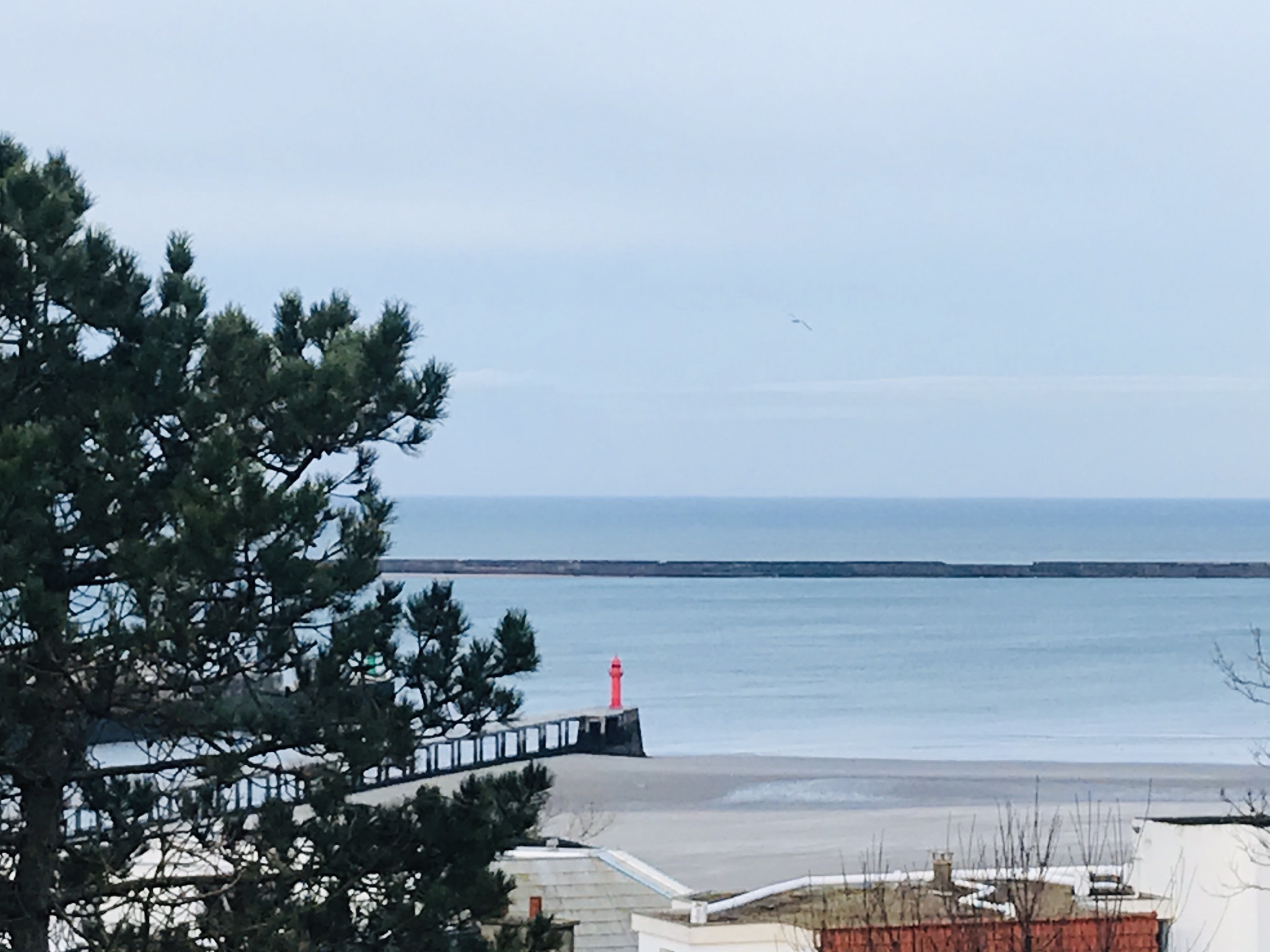 House overlooking the sea - close to port and Nausicaa