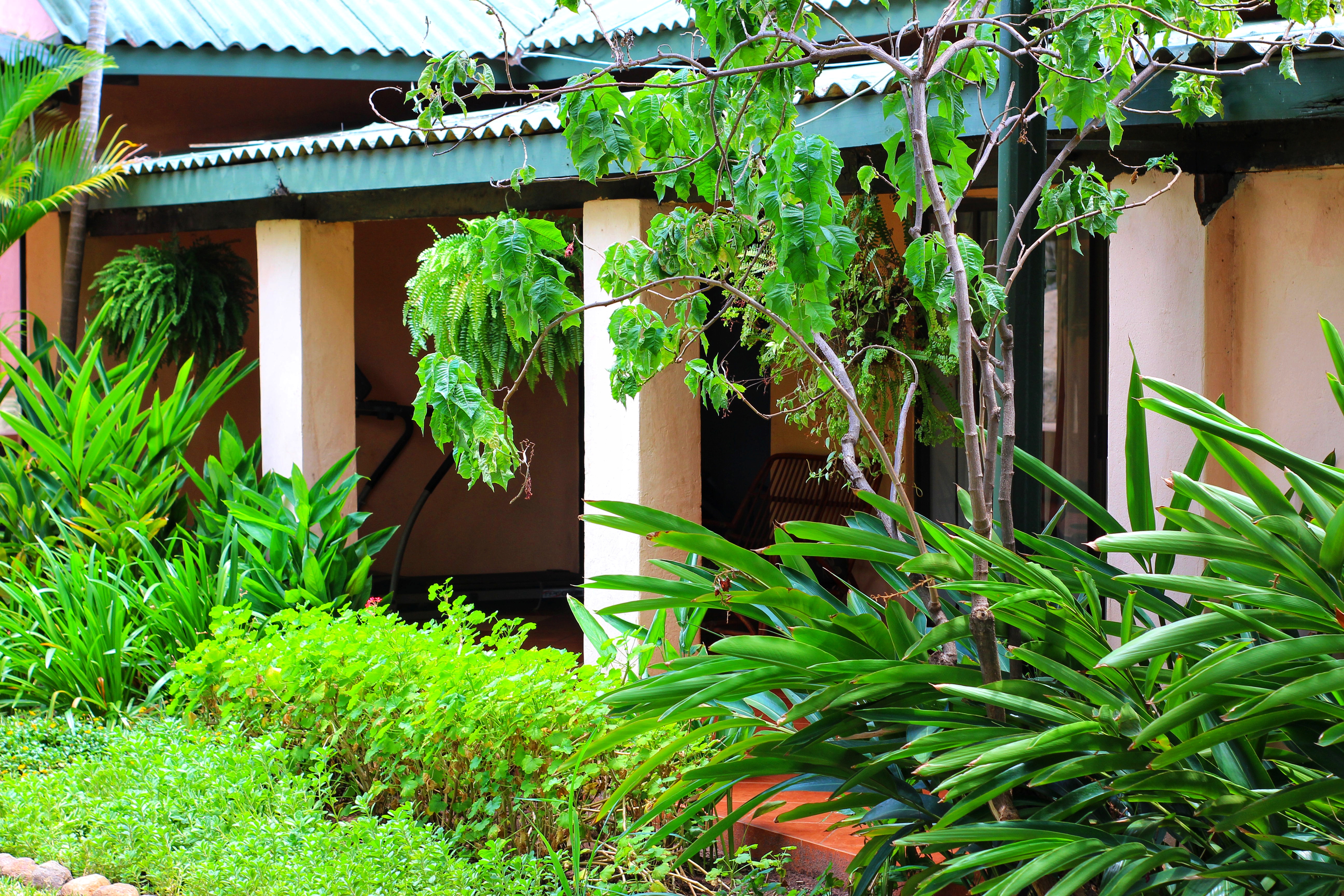 Butterfly Apartments 2