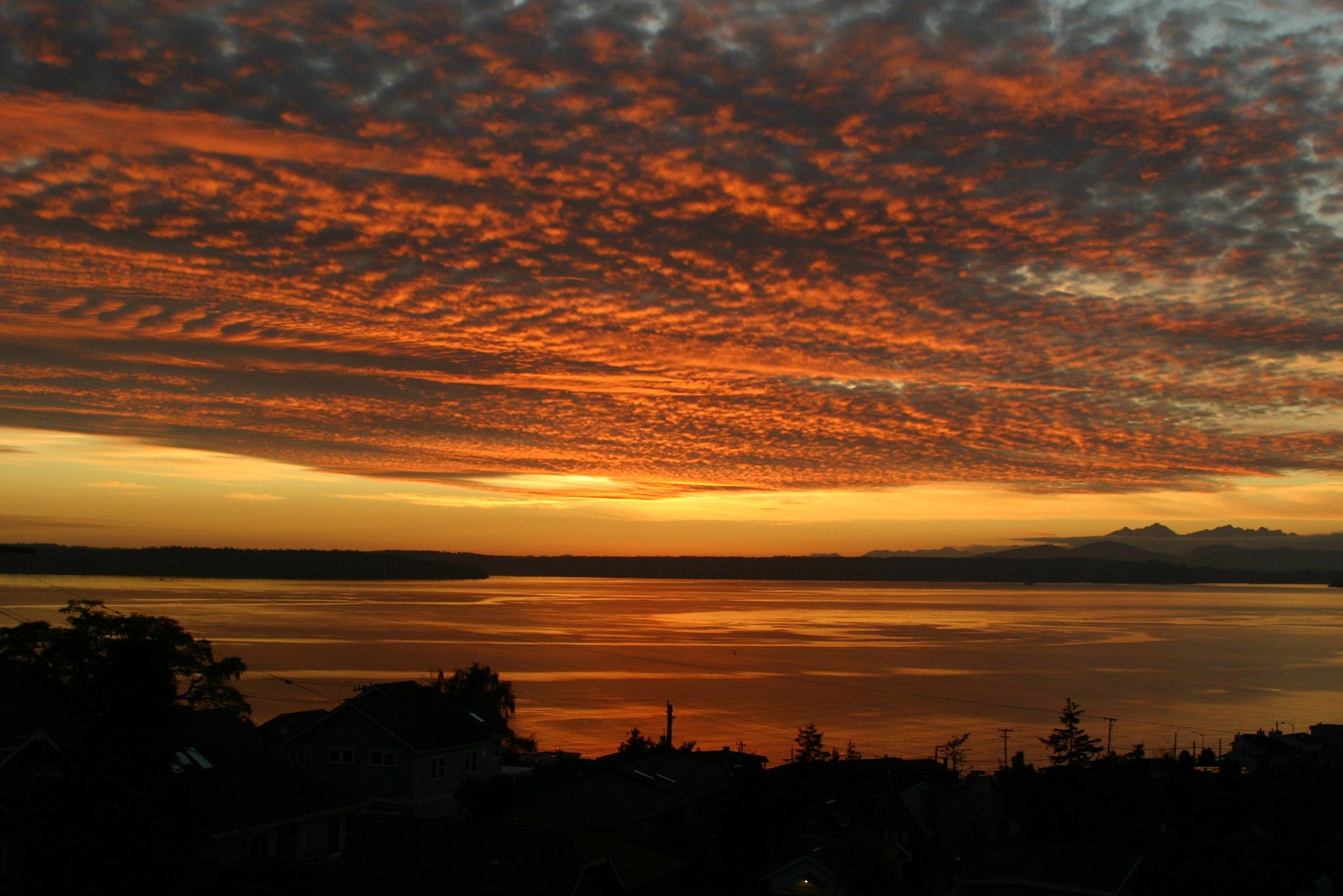 Alki Beach Studio with hot tub