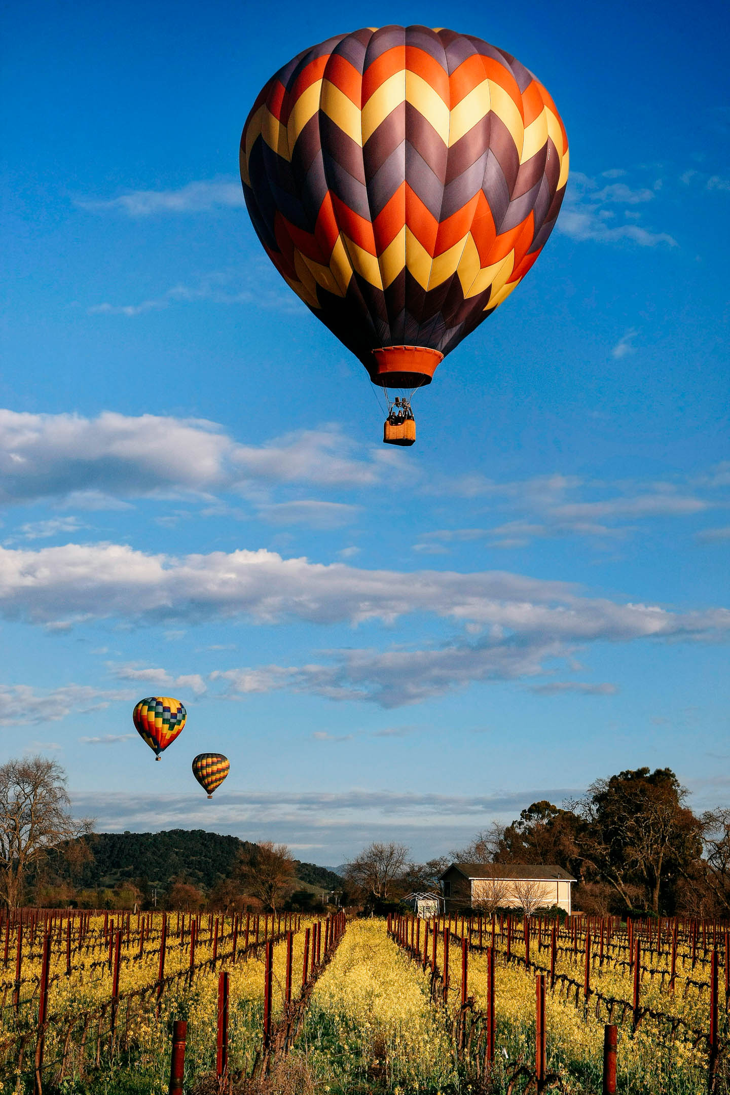 Hot Air Balloons in Napa Airbnb