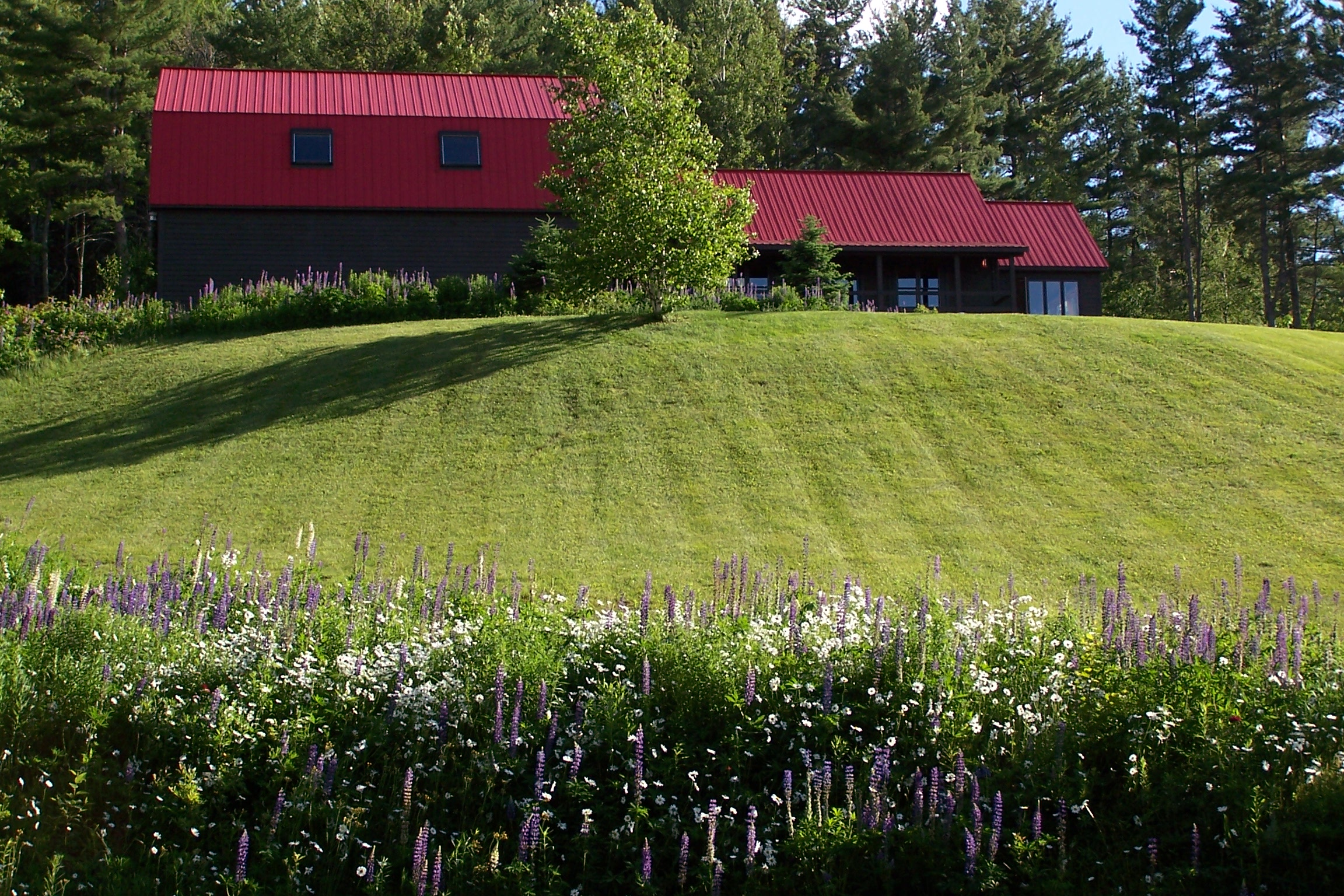 White Mt. Barn Guest House w/ Views Guest suites for Rent in Littleton, New Hampshire, United