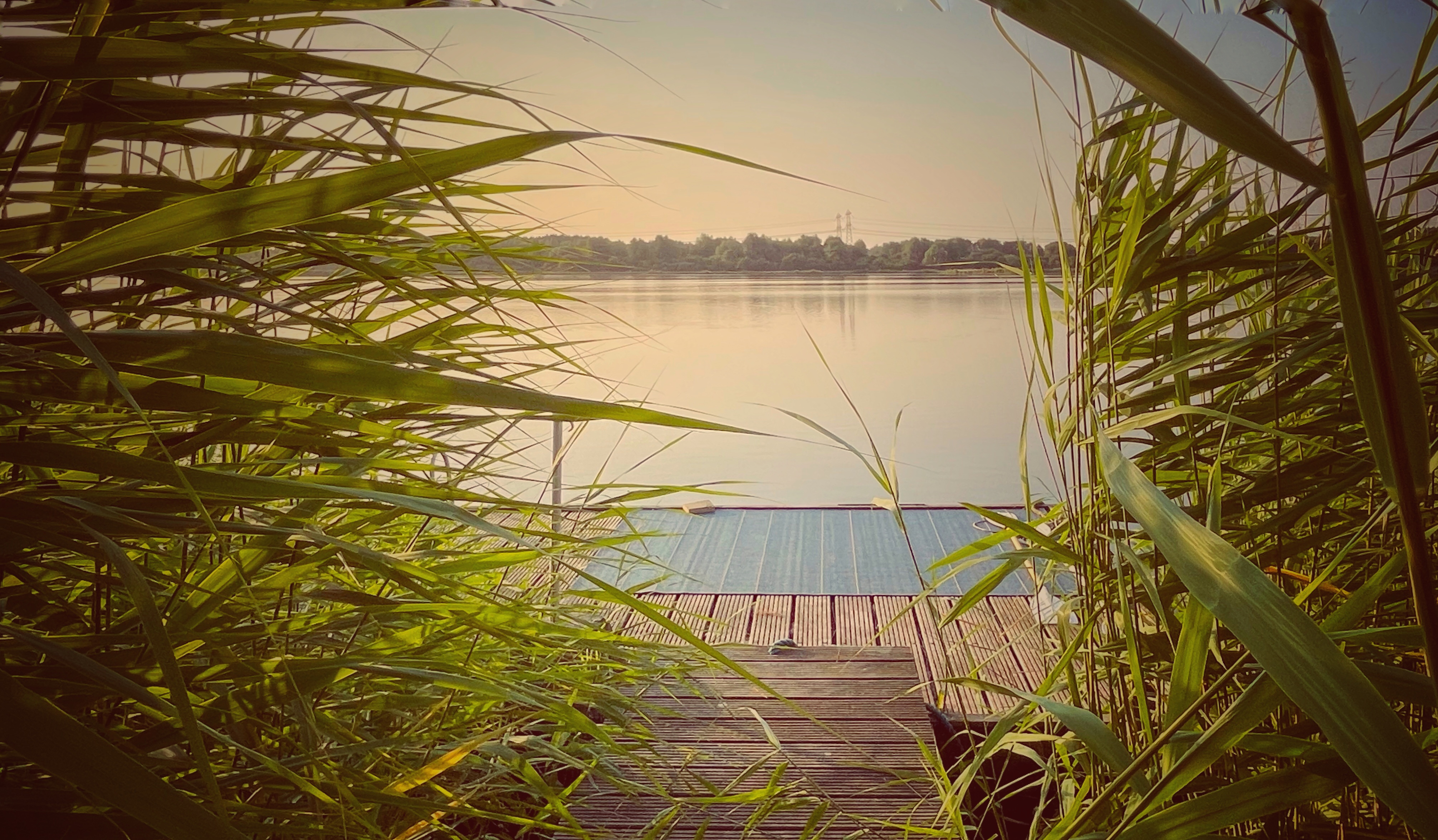 WATER AND SUN ALL AROUND — Amsterdam stay