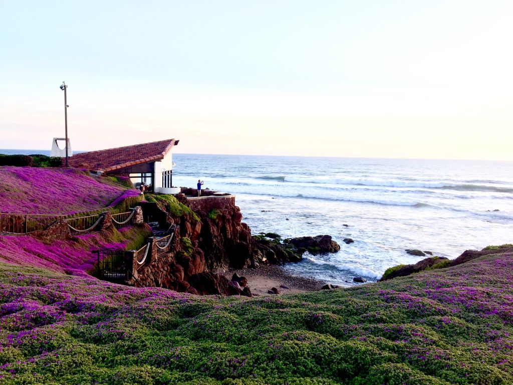 La Paloma Rosarito Beach House Right On The Beach! Houses for Rent in