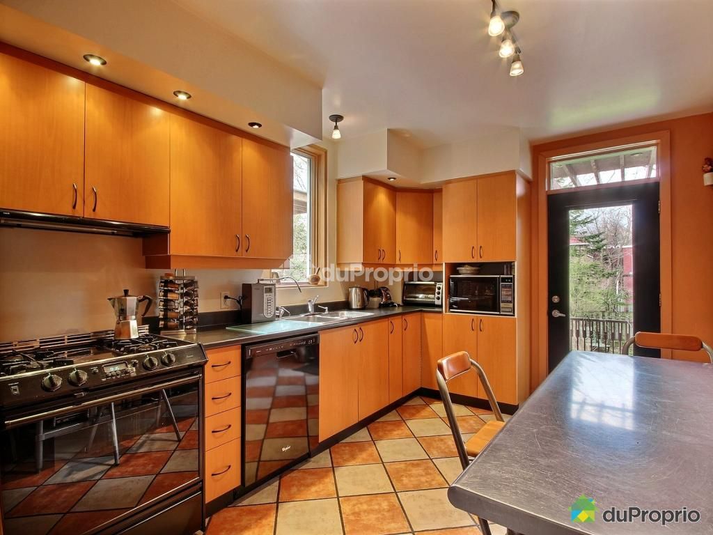 Home with sunnygarden near downtown in Côte-des-Neiges-Notre-Dame-de-Grâce, Montreal