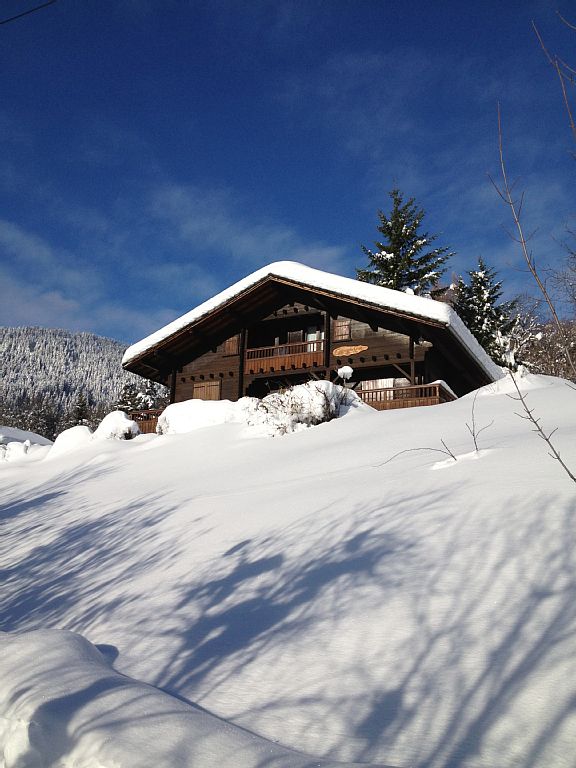Lovely family chalet with fantastic panoramic view