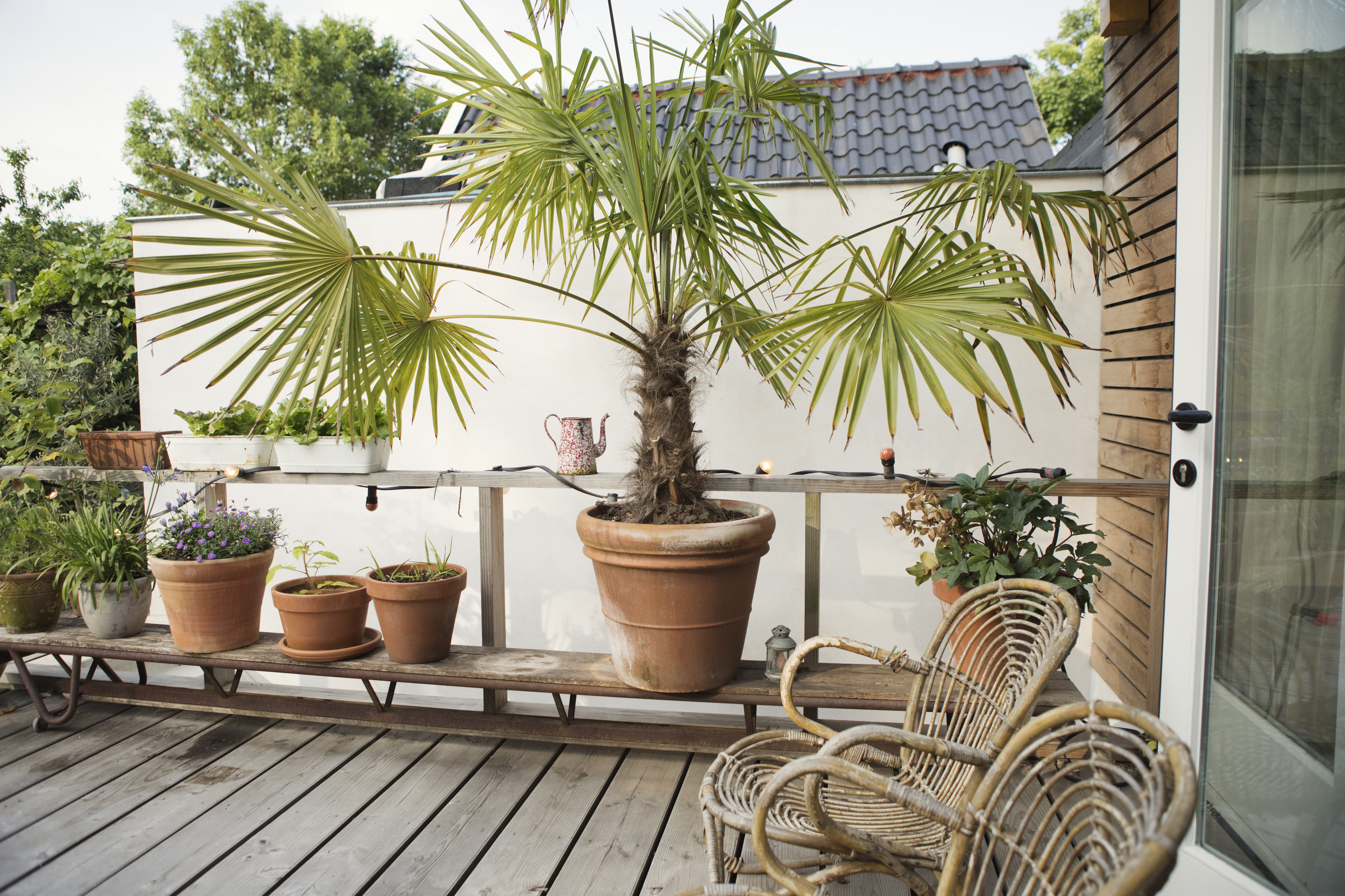 City Centre family home, garden & private parking — Amsterdam stay
