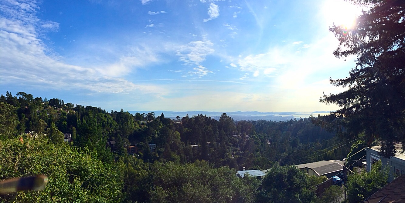 Stunning view of San Francisco Bay - 1 in Forestland, Oakland