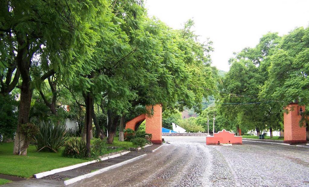 Diana’s Village, La Floresta Ajijic. (Paradise) Casas de campo en