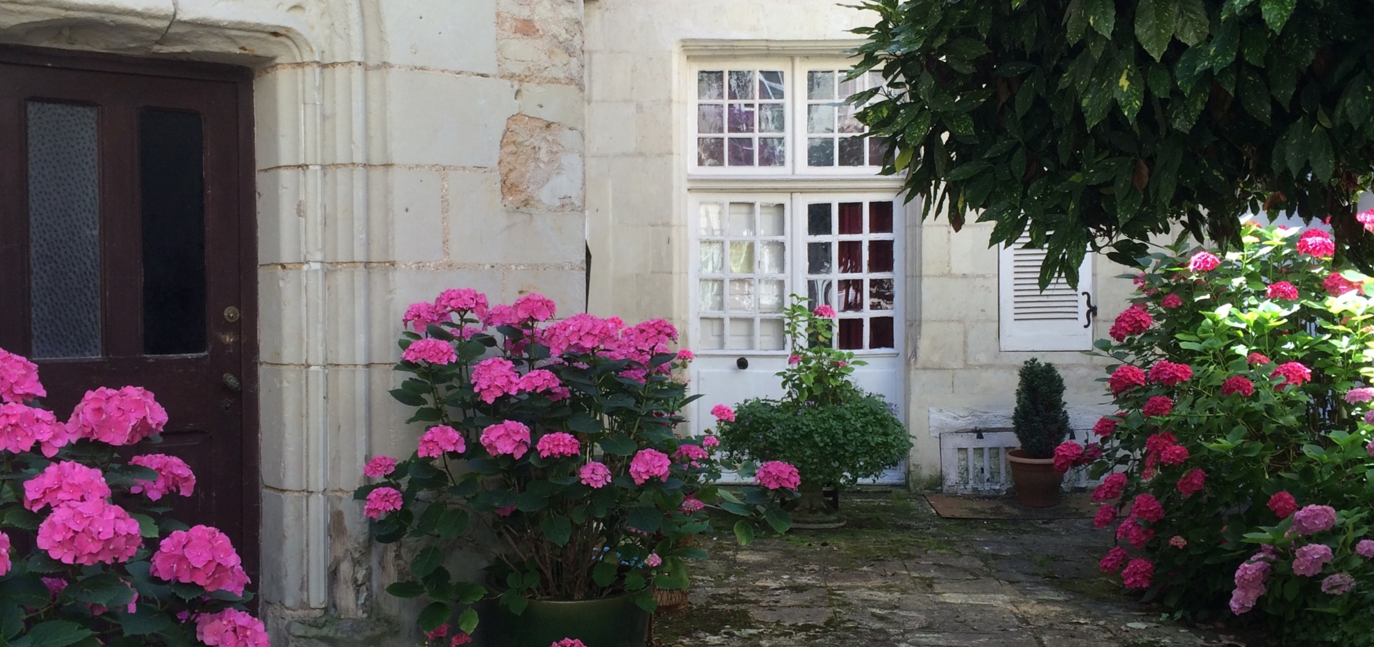 Enchanting, Historic Chinon APT.