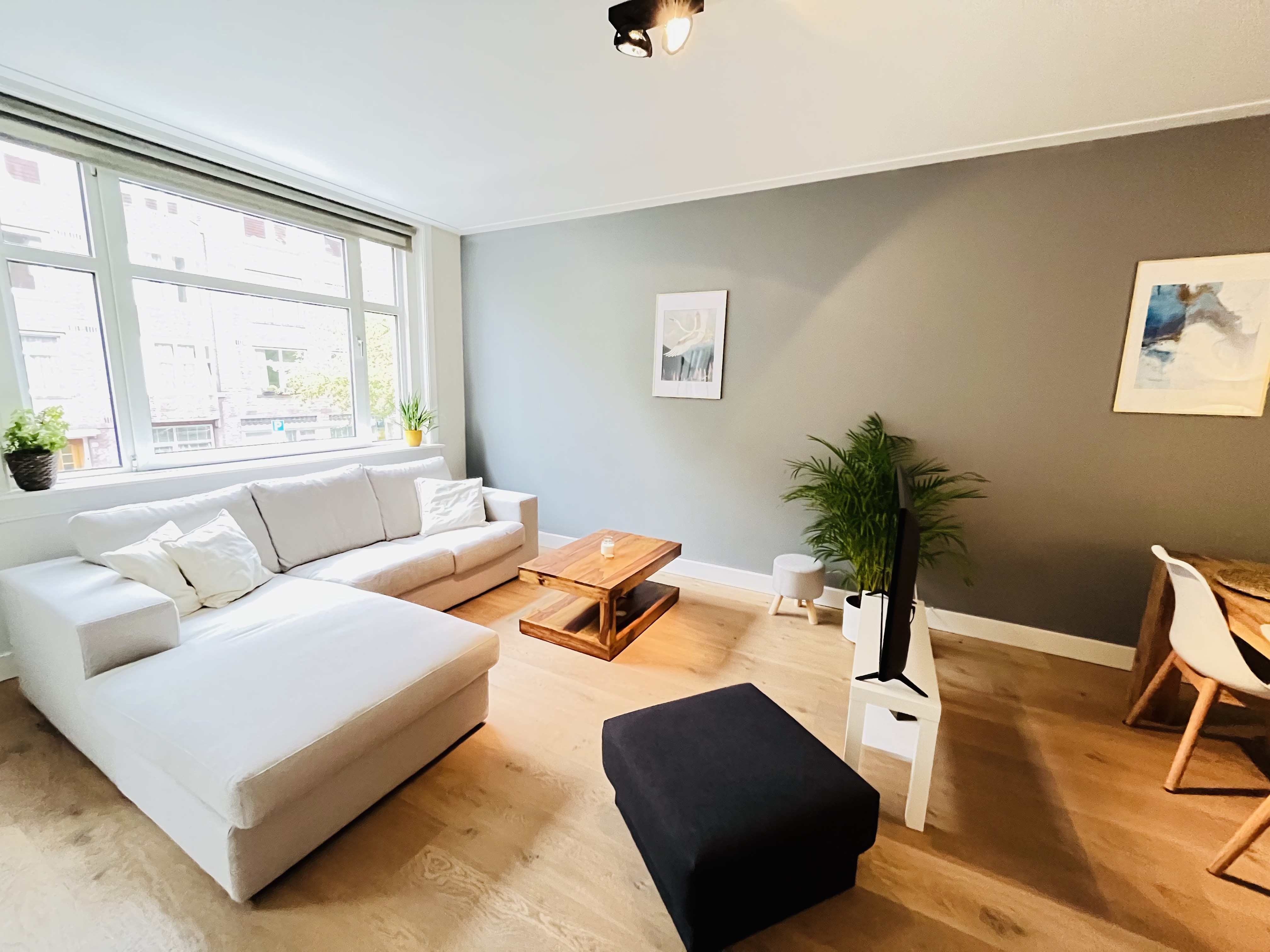 Cozy apartment in lovely street next to Vondelpark — Amsterdam stay
