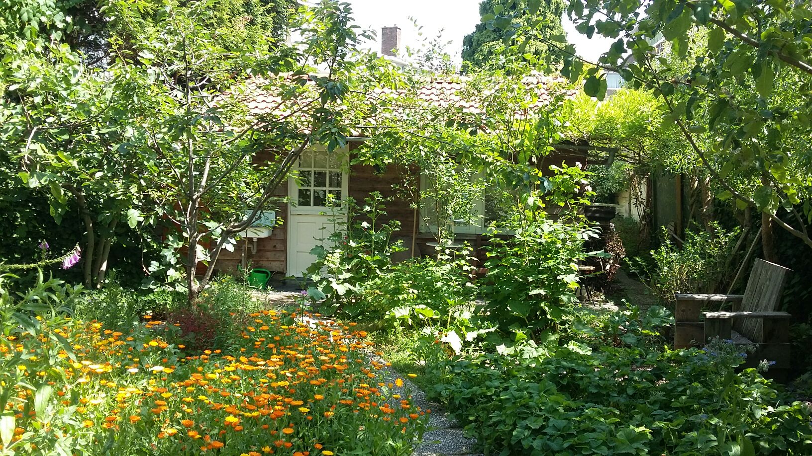 Private lodge in spacious city-garden near center