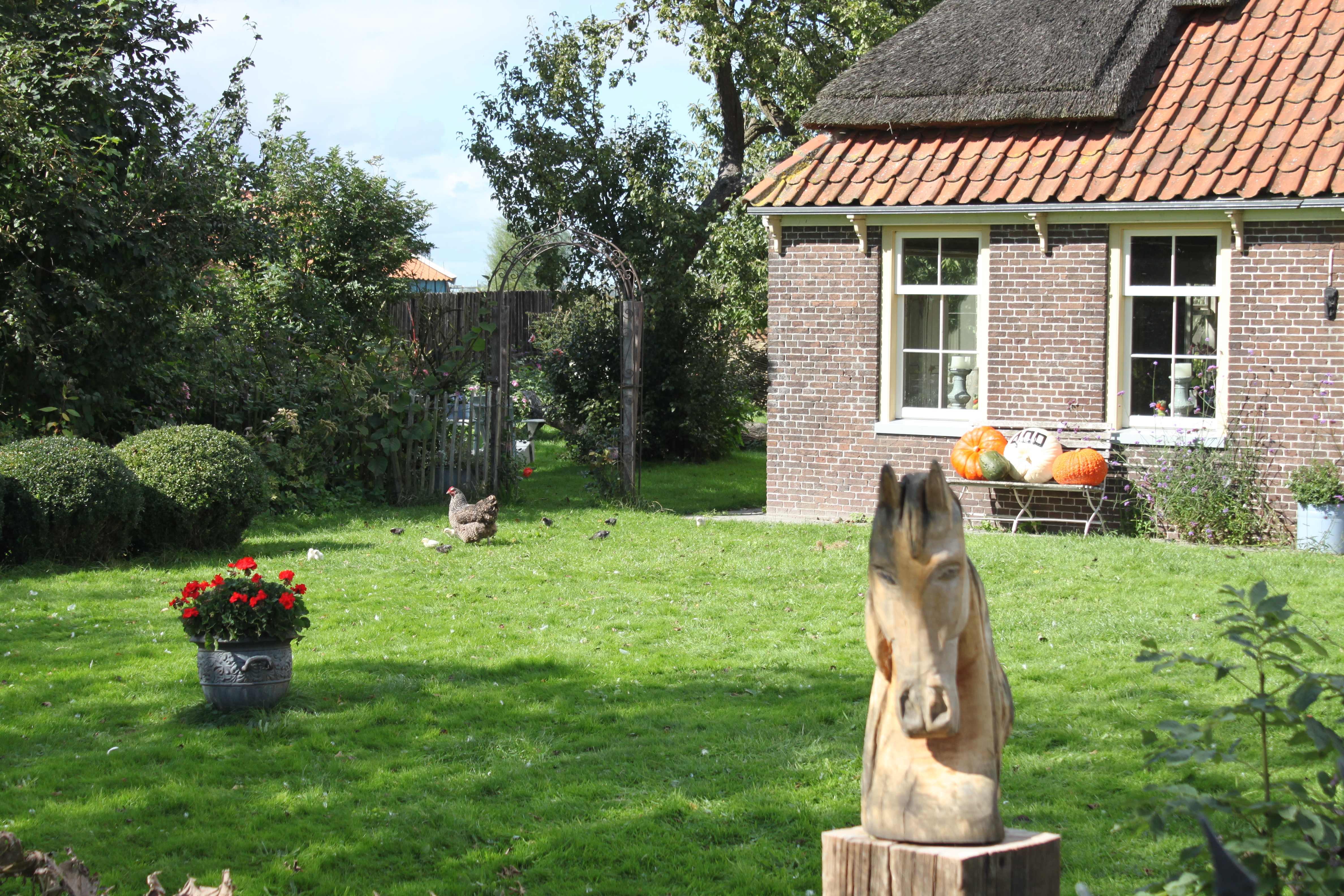 Old Farmhouse 30 Min From Amsterdam Farm Stays For Rent In Spierdijk Noord Holland Netherlands