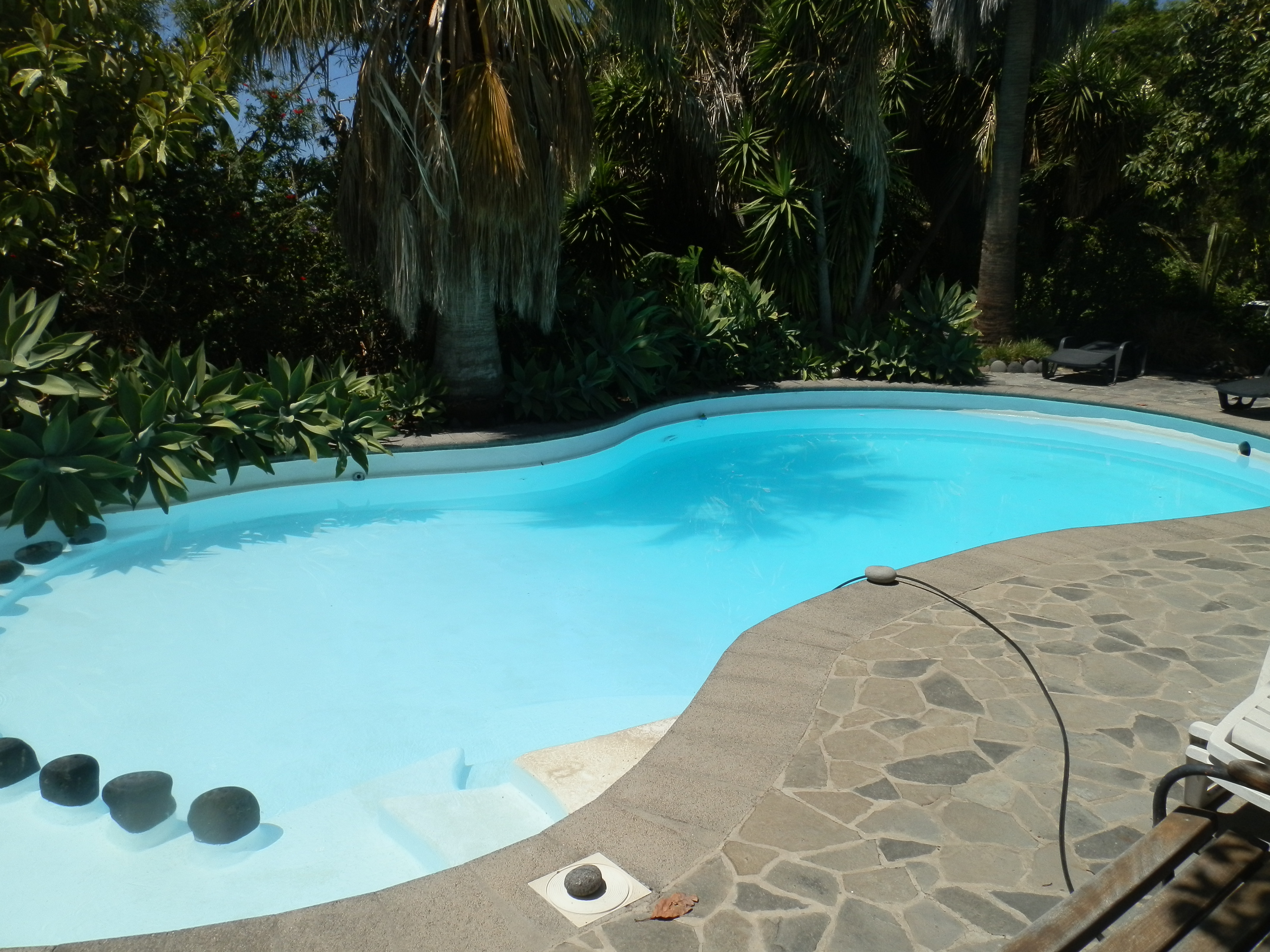 Casa Cruz Chica,Pool,botanischer Garten,Internet
