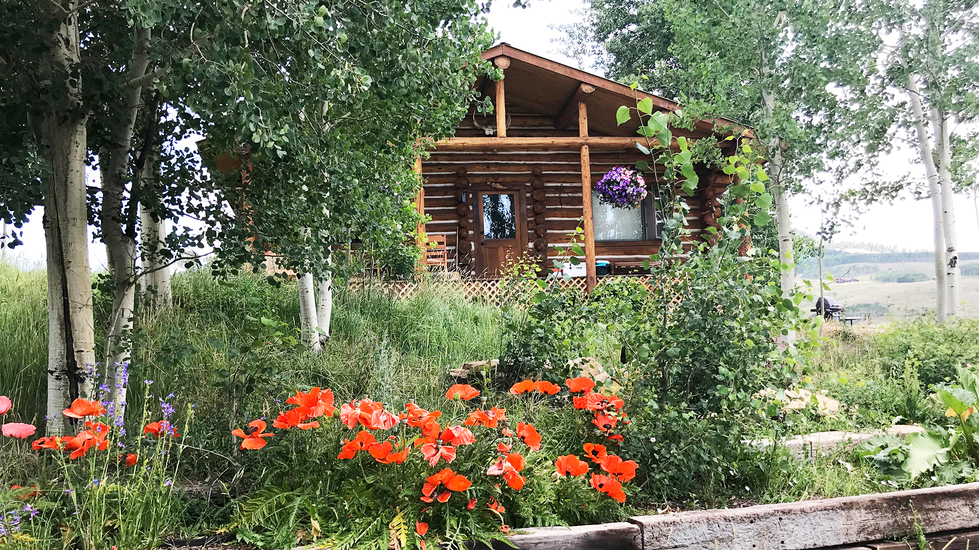 Gorgeous Cabin -Slps 2-petfriendly-hot tub-private