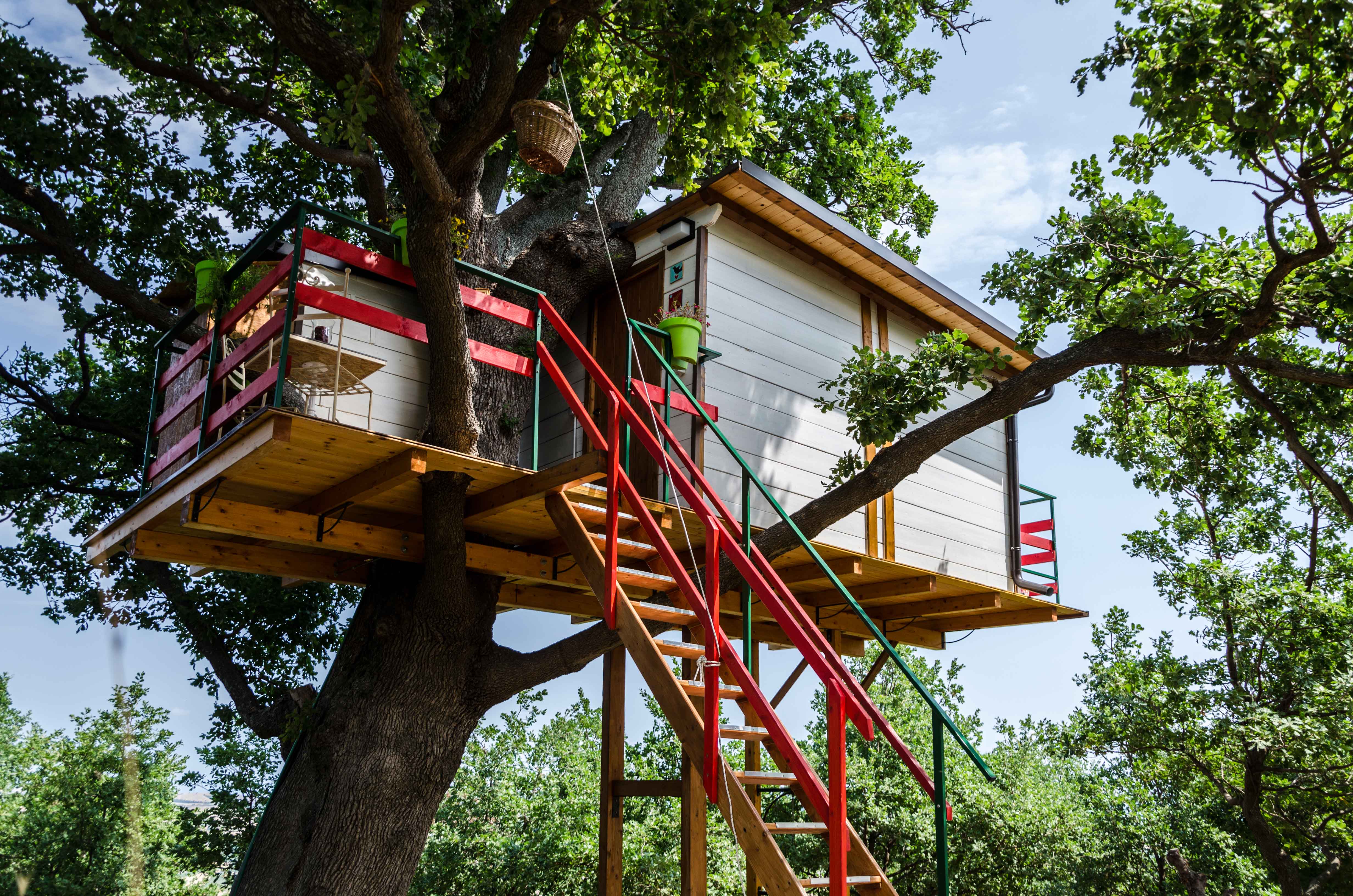 La casa sull'albero - Case sugli alberi in affitto a Lentella , Abruzzo,  Italia - Airbnb