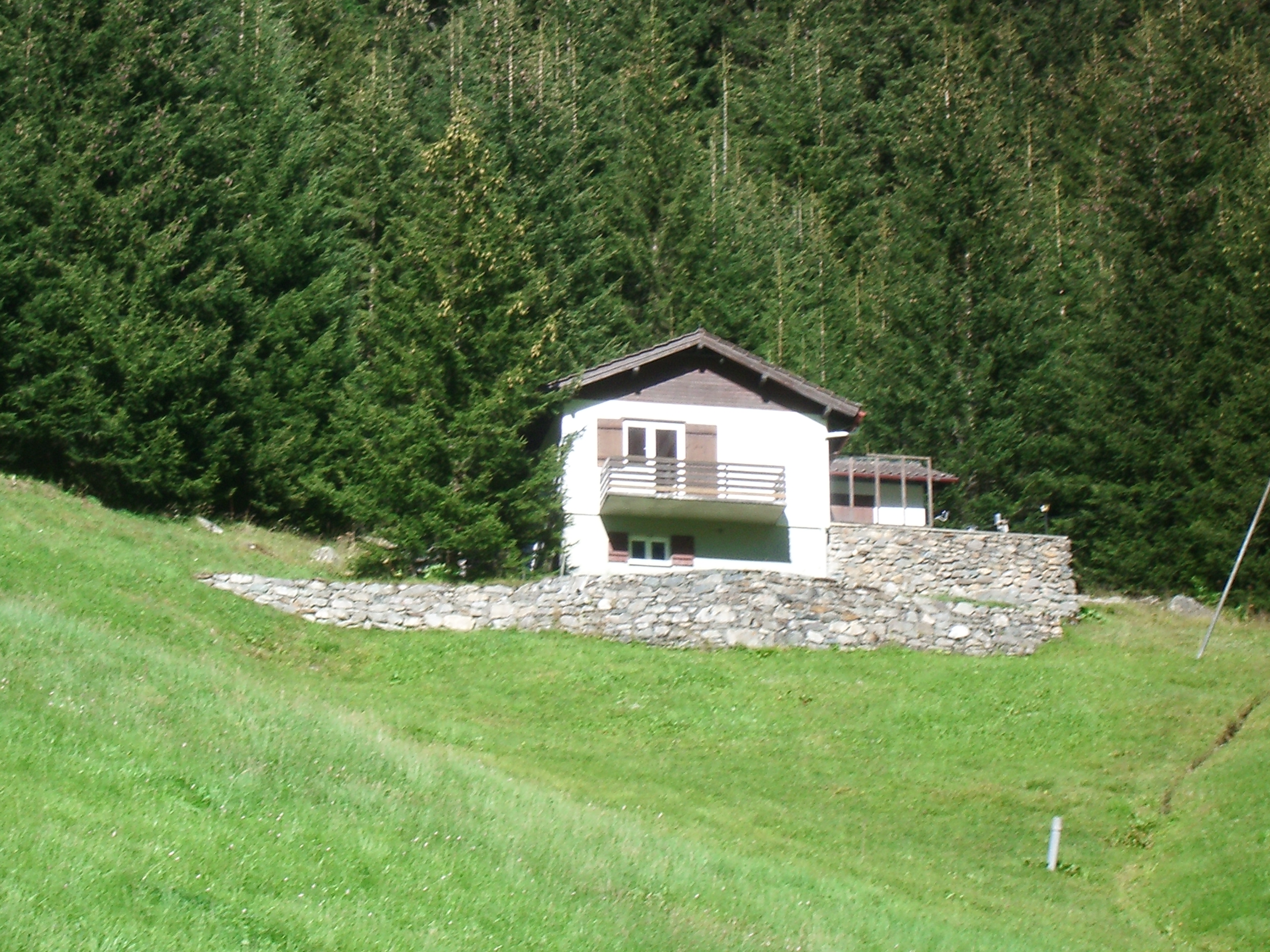 Alpine Davos