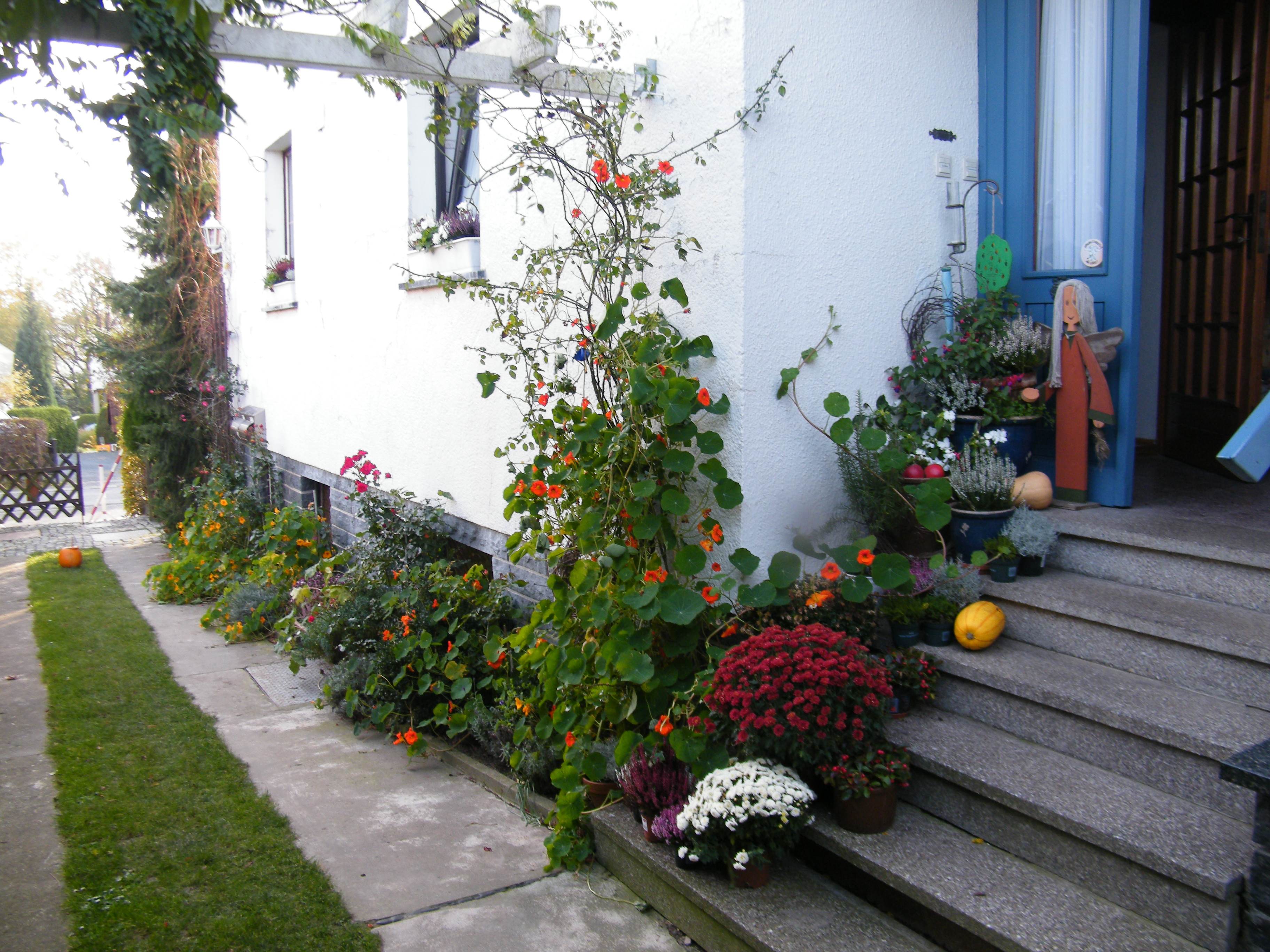 Ferienwohnung Geißler in Bad Schandau/Ostrau