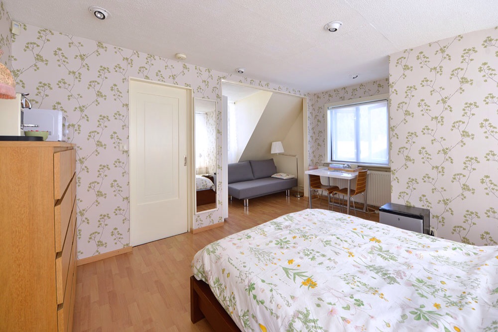 Big, bright room; privat bathroom &entrance — Amsterdam stay