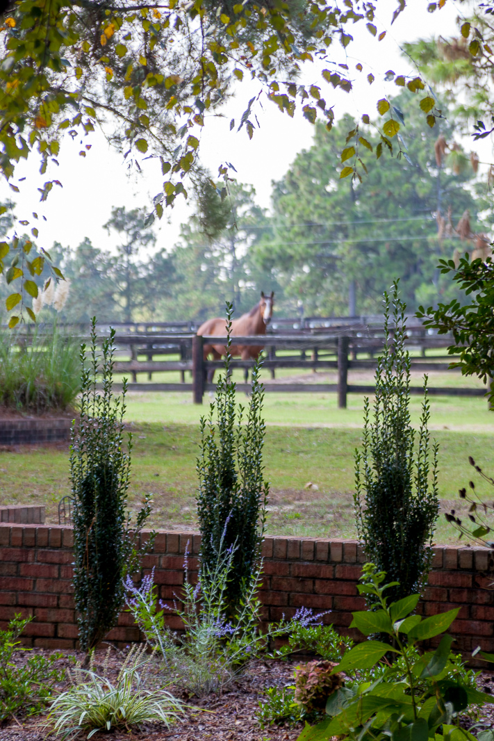 The Horse & Hound Suite at Tanglewood Farm B&B Apartments for Rent in