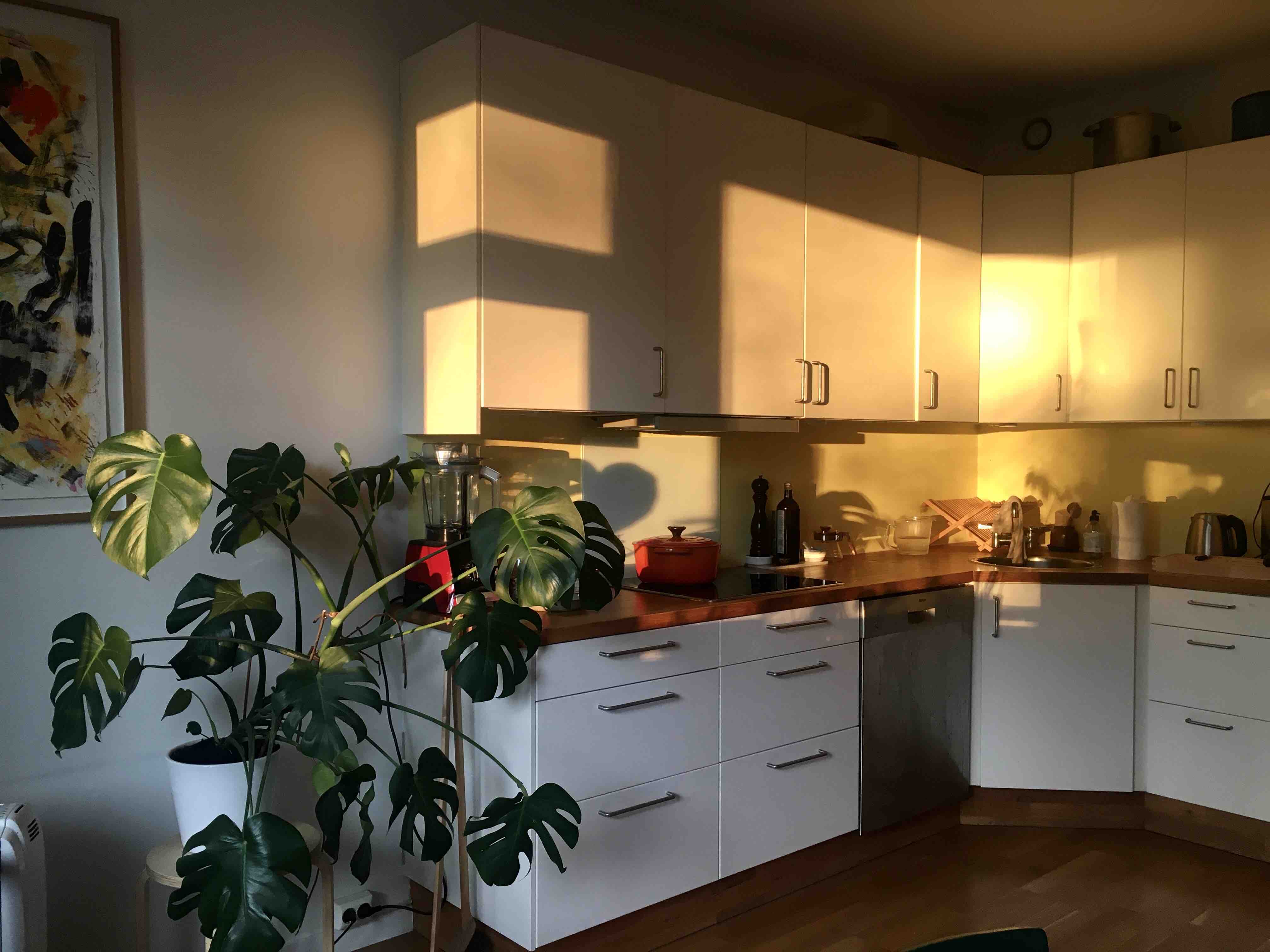 Spacious & central, superb kitchen! in Gamle Oslo, Oslo