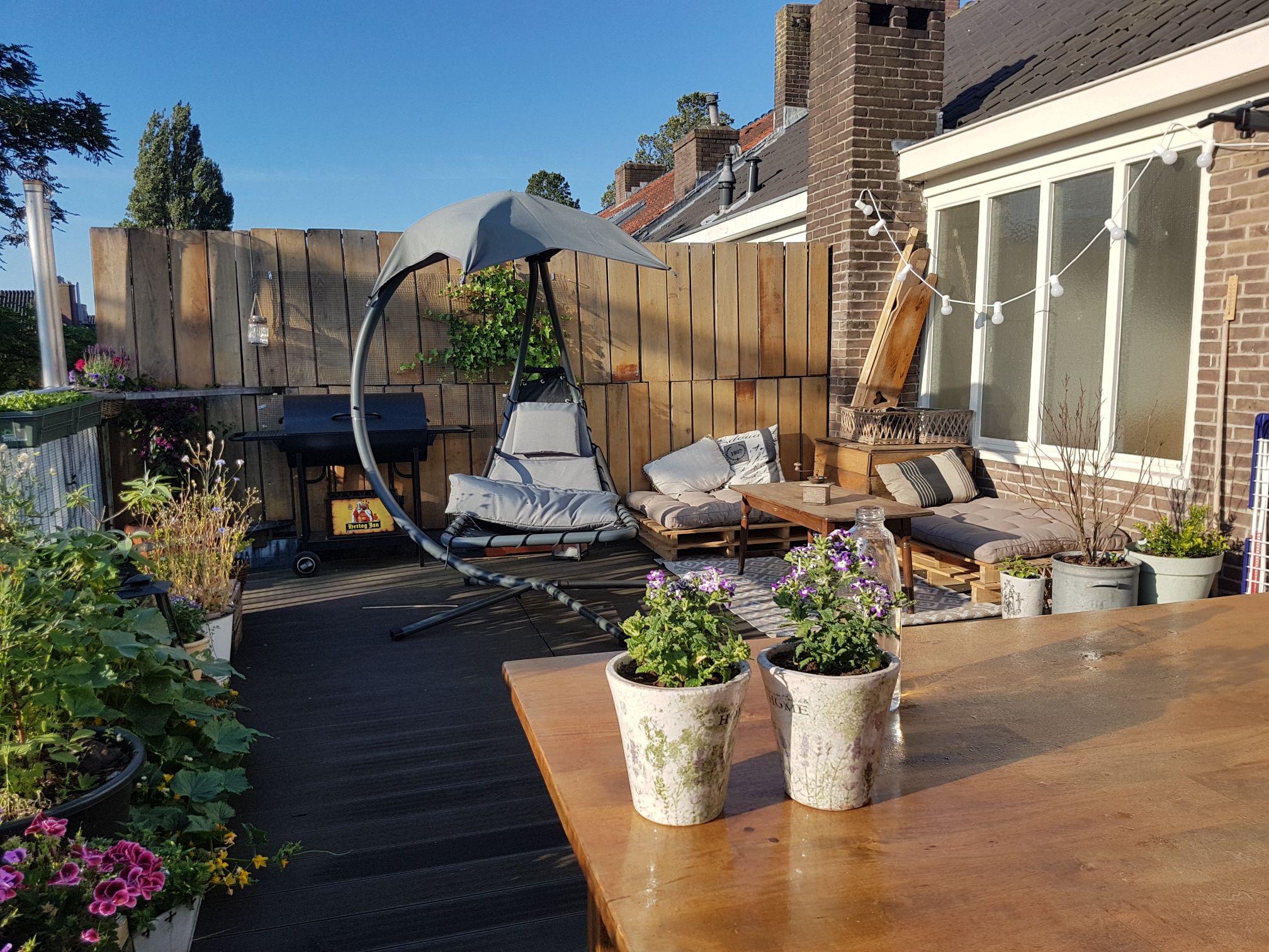 Vondelpark large flat, roof terrace & friendly cat — Amsterdam stay
