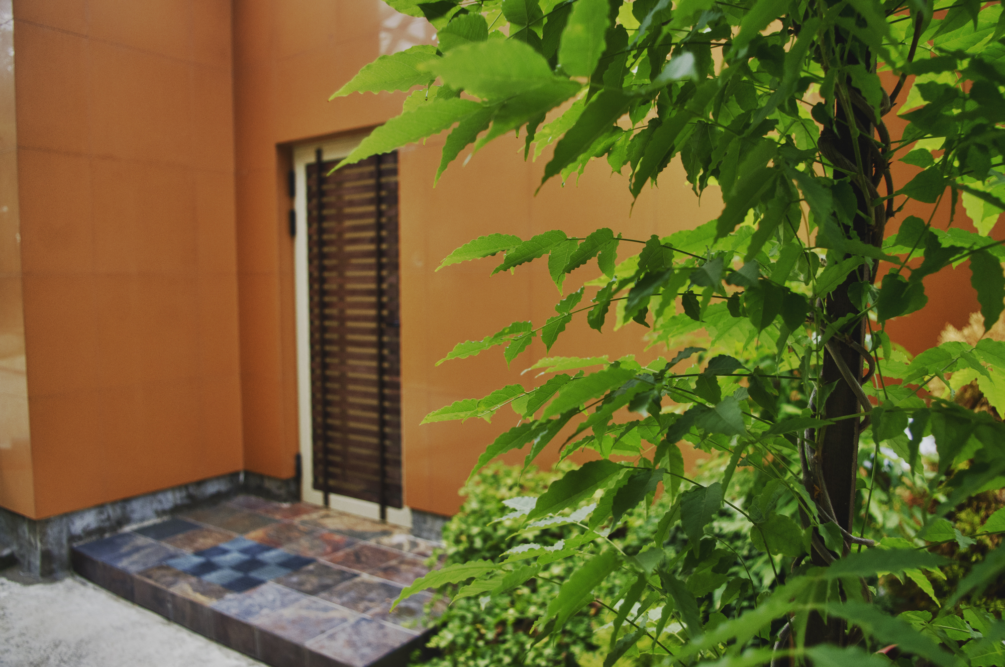 Sea view apartment in Sochi Houses for Rent in Sochi, Krasnodar Krai