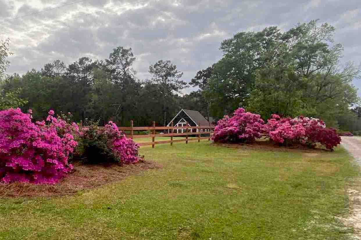 The Green Loft in Philadelphia, MS; ( 1) Houses for Rent in