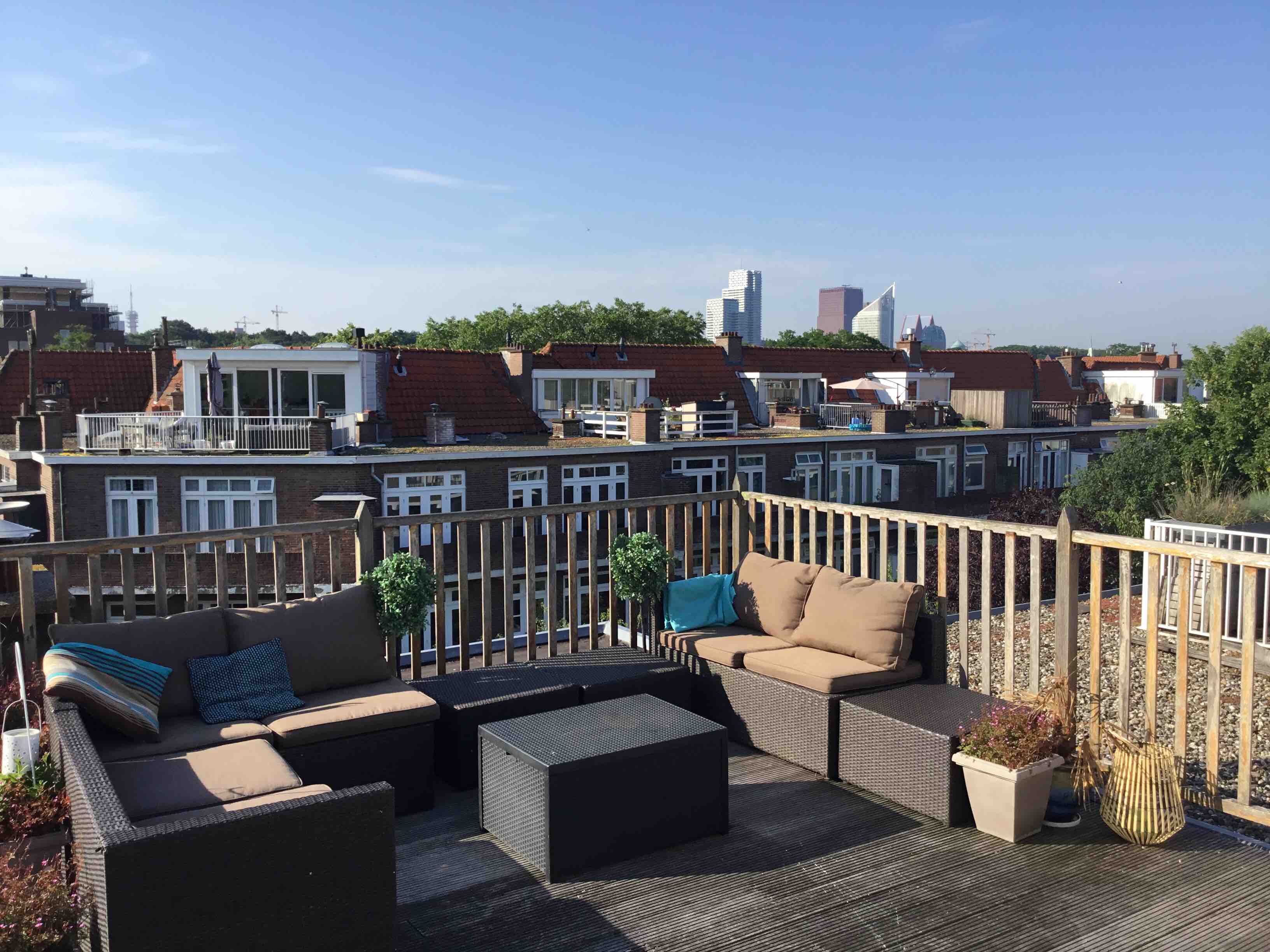 Large, quiet appartment with sunny roofterrace — The Hague stay
