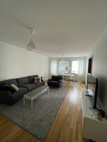 Central and cozy apartment at Davidshallstorg