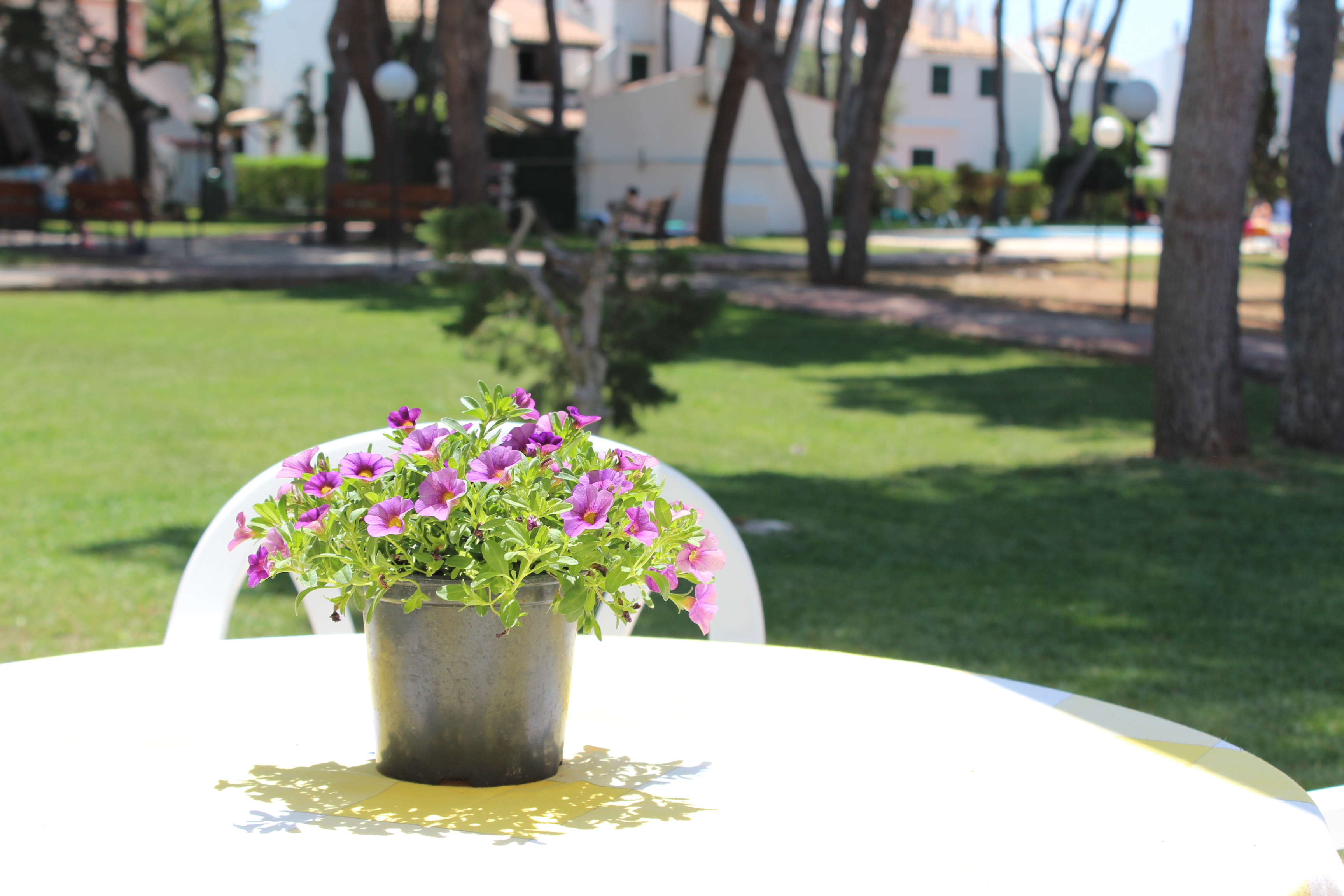 JULIETA 5 APARTAMENTO EN MENORCA in Ciutadella de Menorca, Menorca