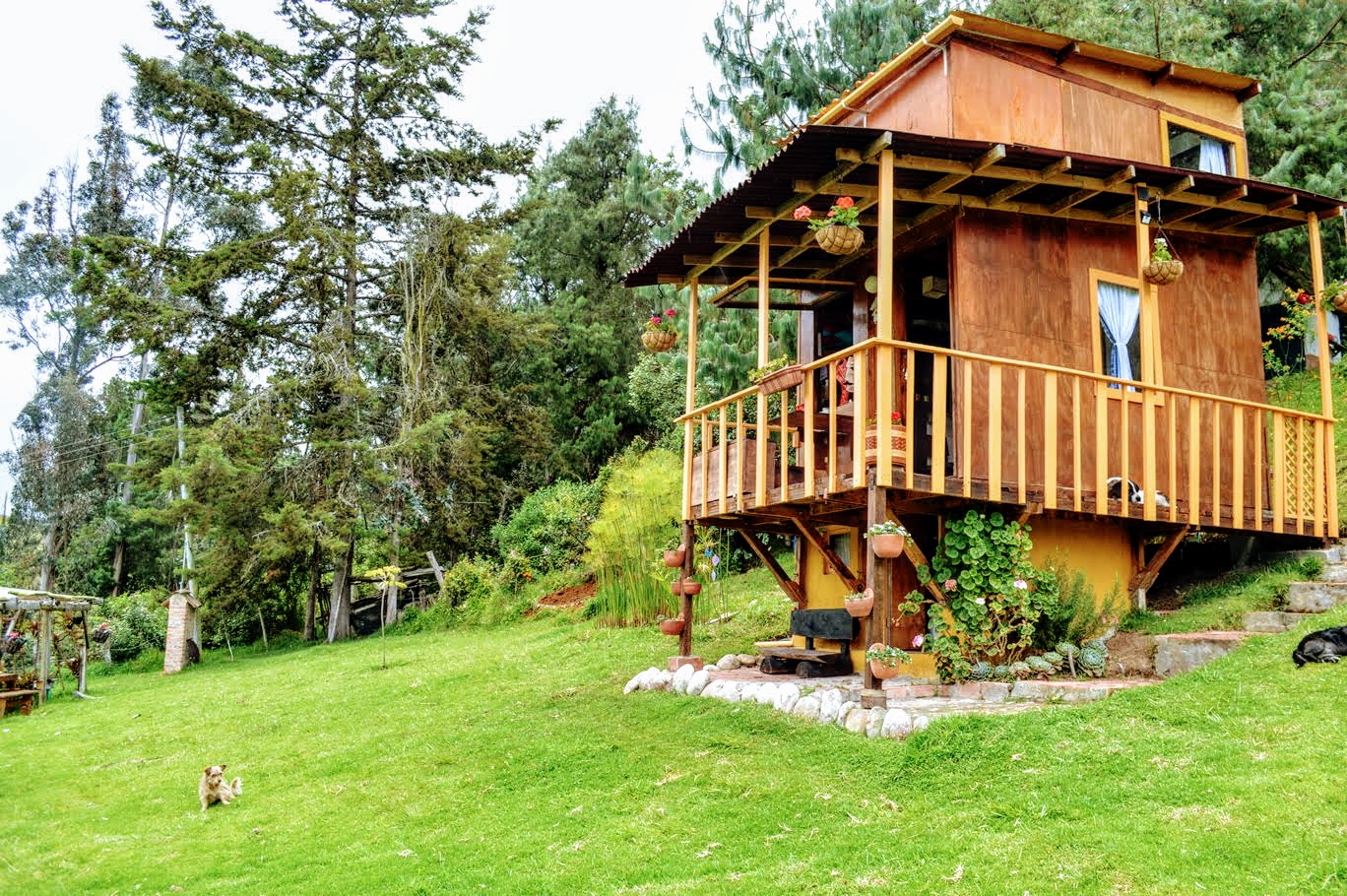 new balance guasca 2019 en español