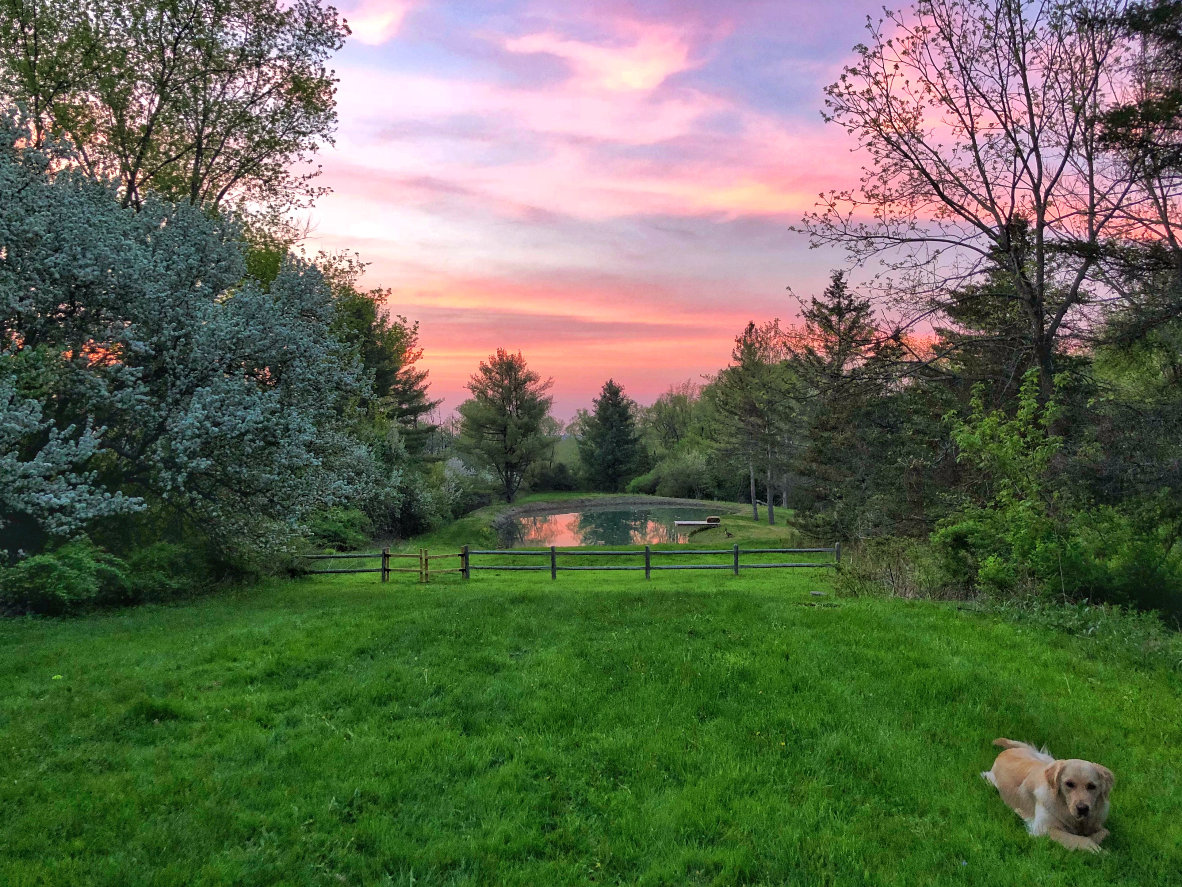 Newly Renovated Ellis Hollow Farmhouse Cottage