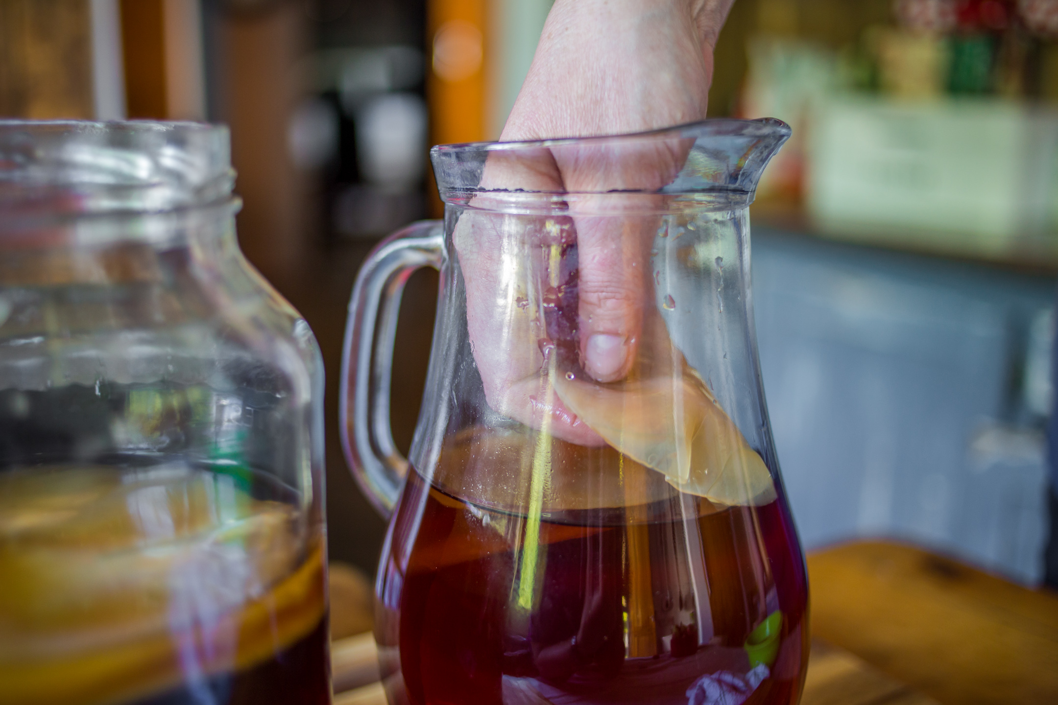 чайный гриб на ранней стадии. домашний квас гриб. как заправлять чайный. чайный гриб или комбуча. чайный гриб.