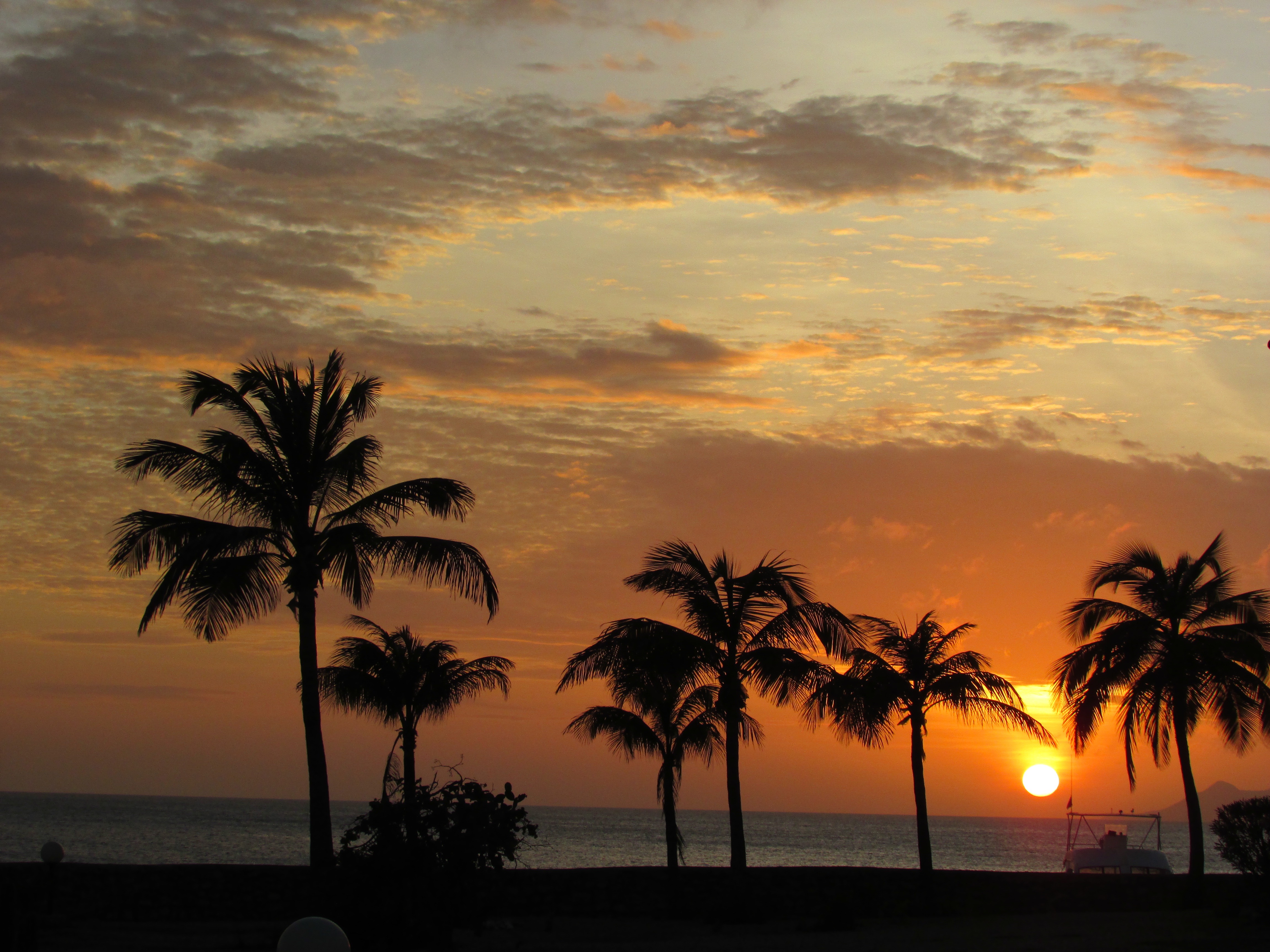 Oceanfront, Fully Renovated E-11 Sand Dollar Condo