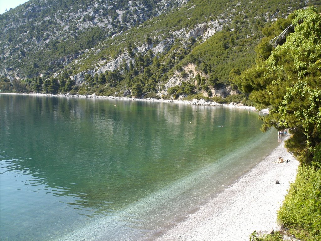 Dafnh Nerotribia Eyboias Me Pisina 99km Apo A8hna Biles Pros Enoikiash Sthn Sto Nerotrivia 8essalia Sterea Ellada Ellada