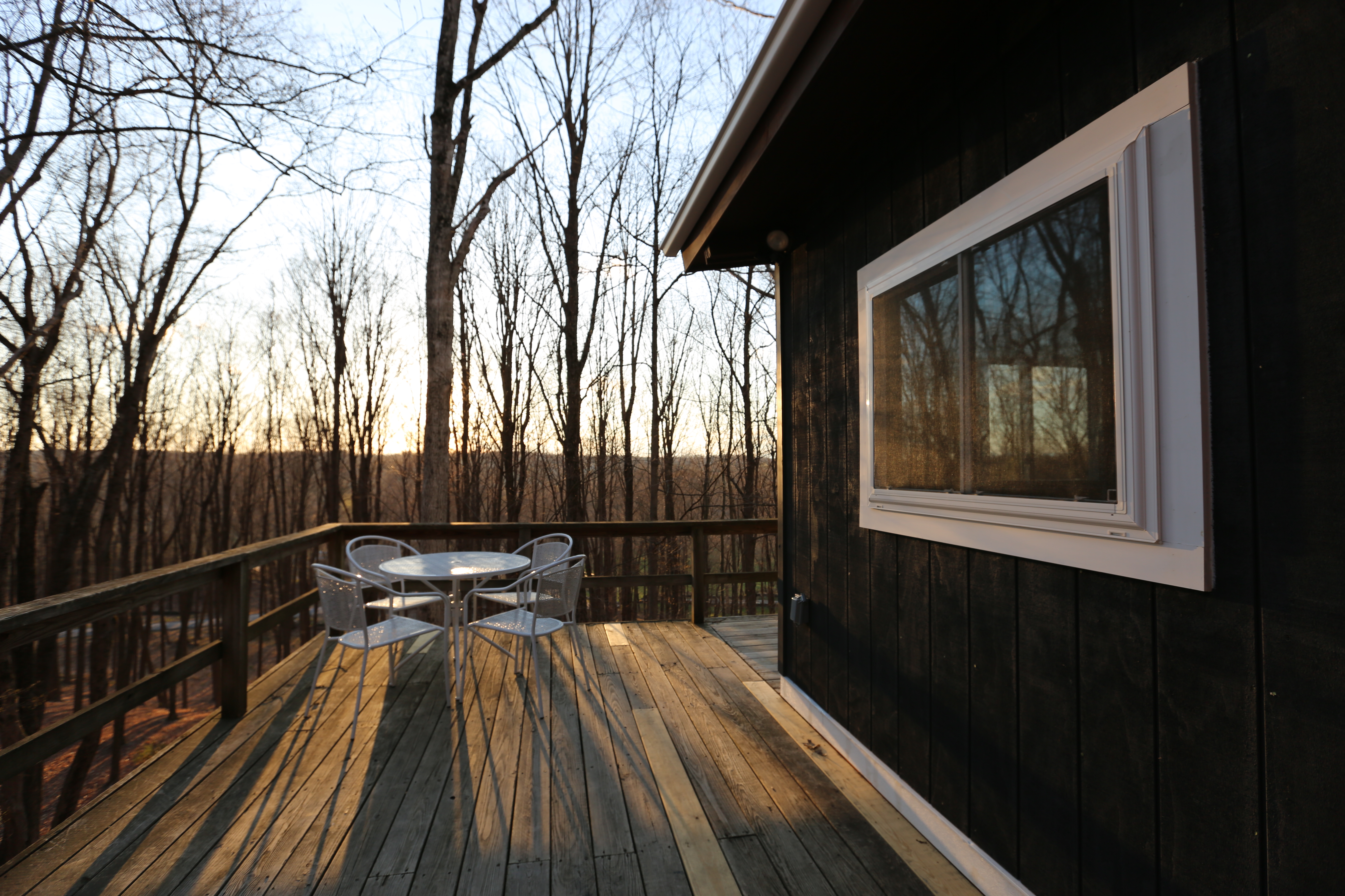 Ridgetop 2 Br Cabin- Views, 130acre forest & falls