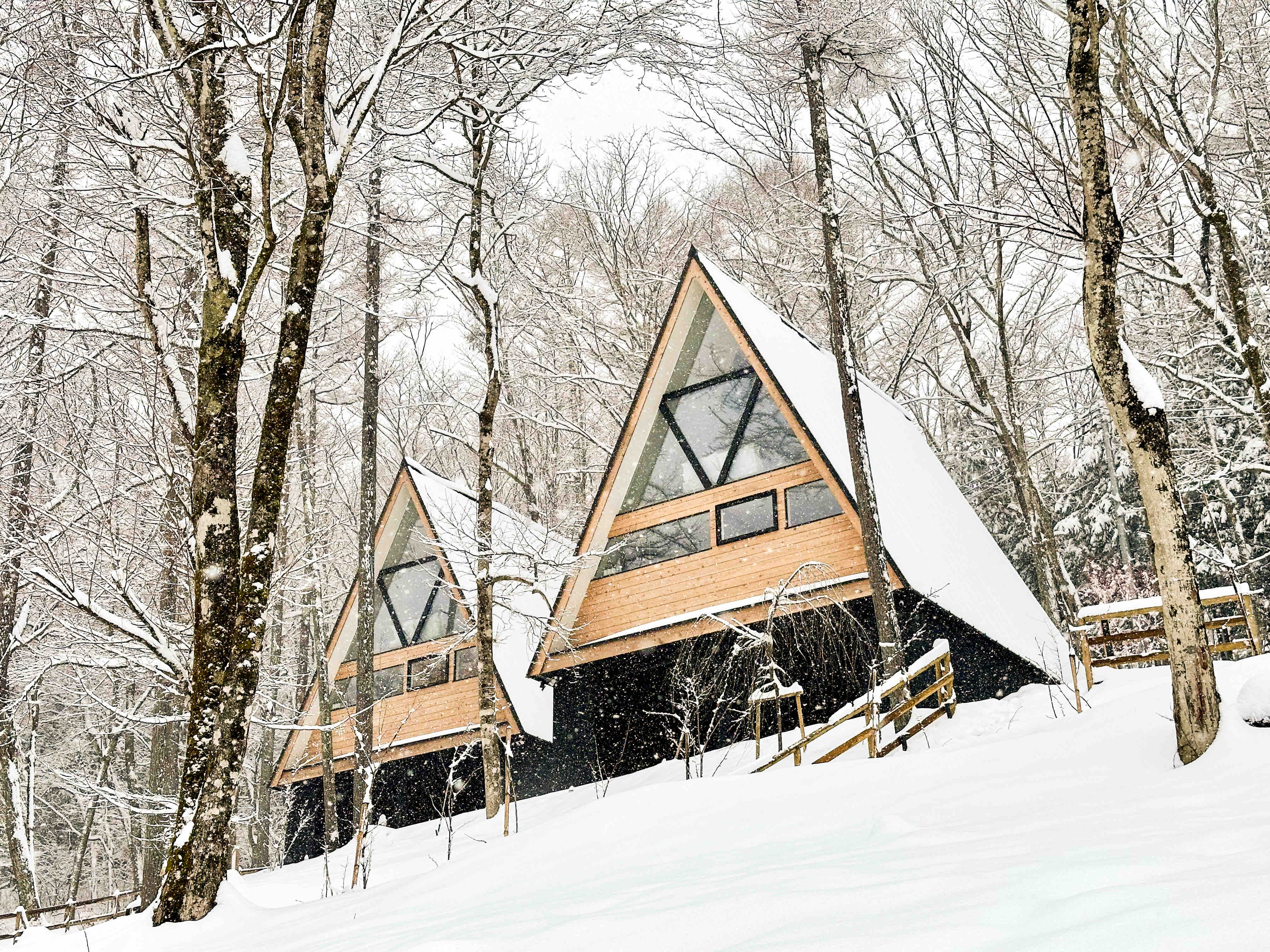 A Frame House, Lake Yamanaka the Mt. Fuji Area(S1) - Houses for
