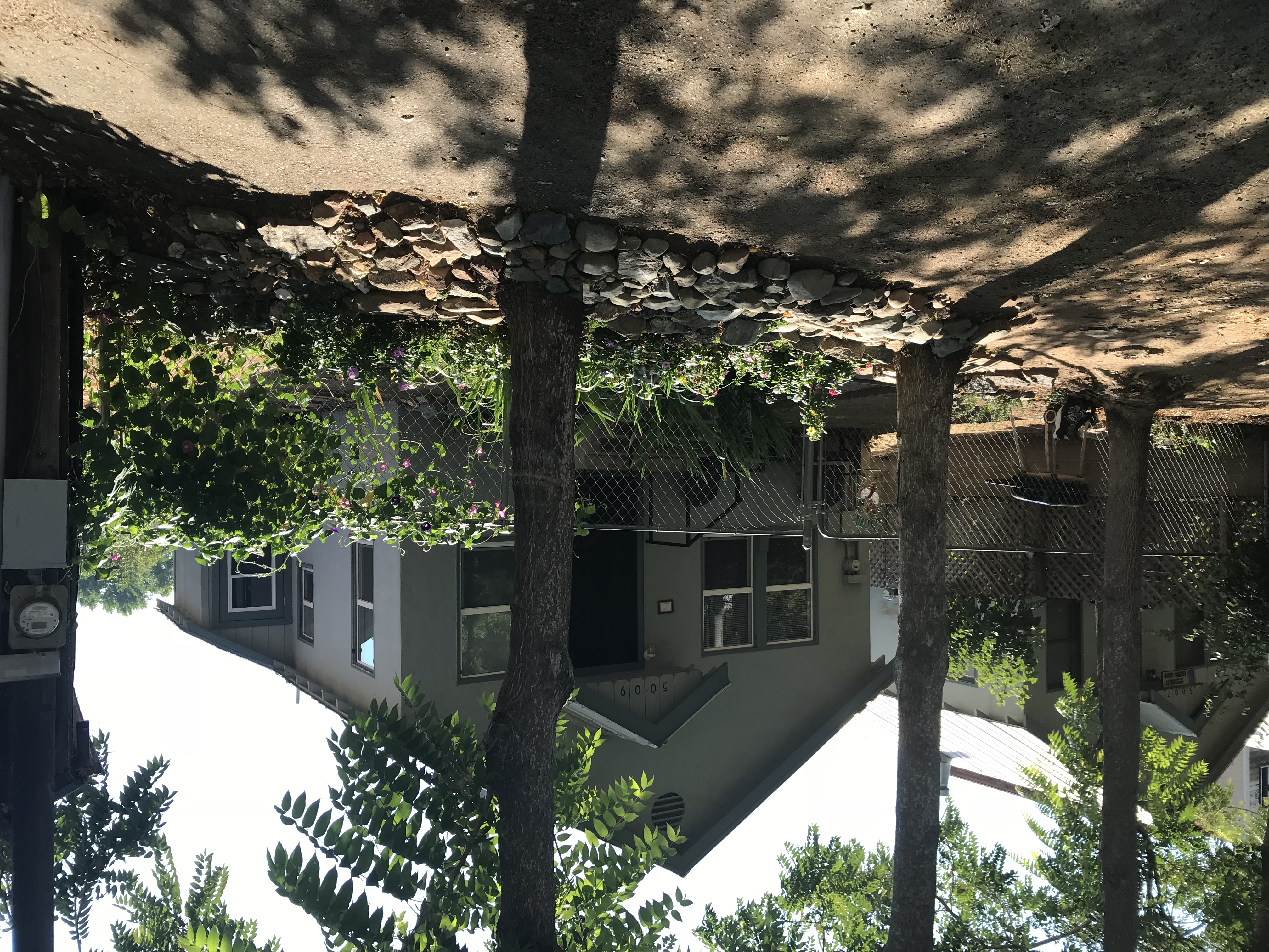 Vicki's Little Cottage C