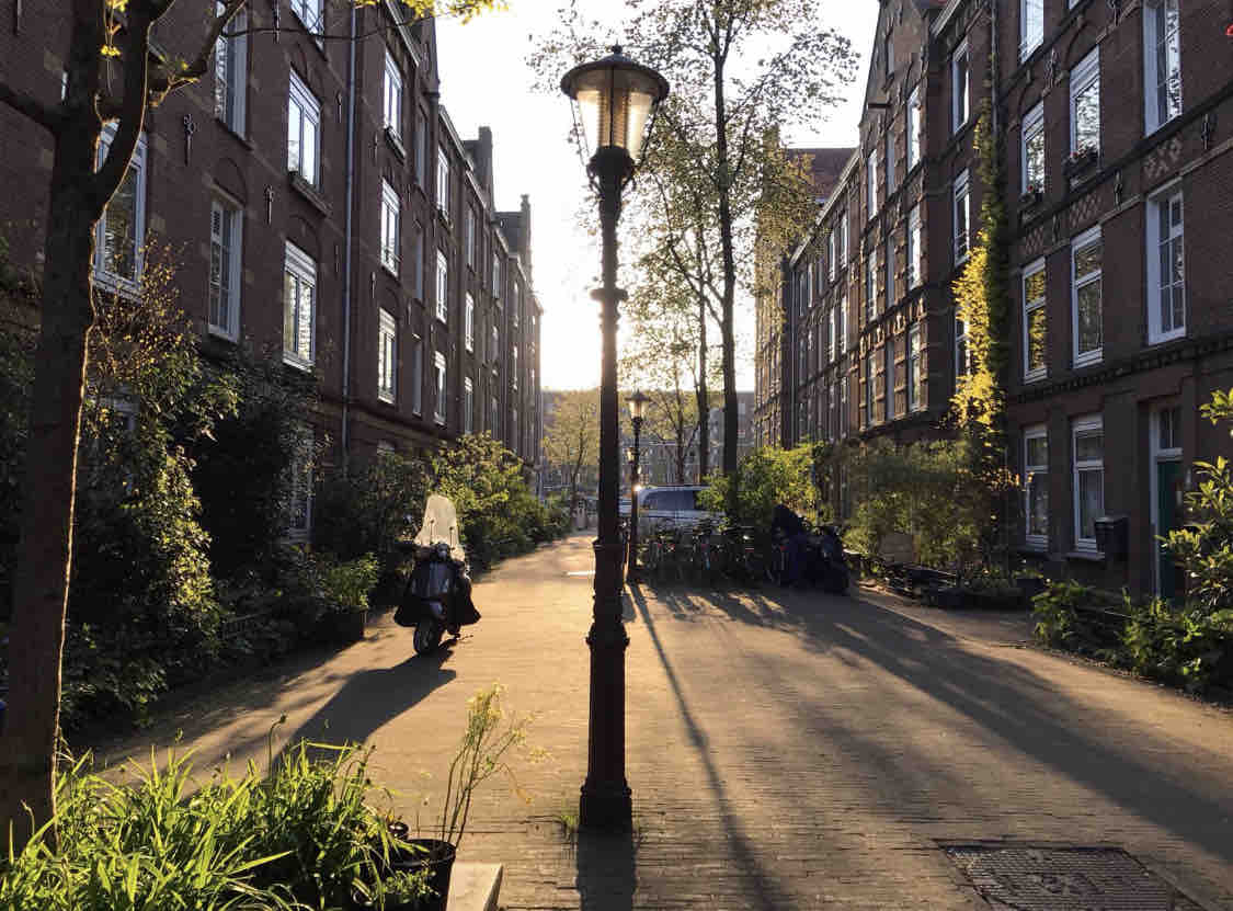 Cosy, central located apartment — Amsterdam stay