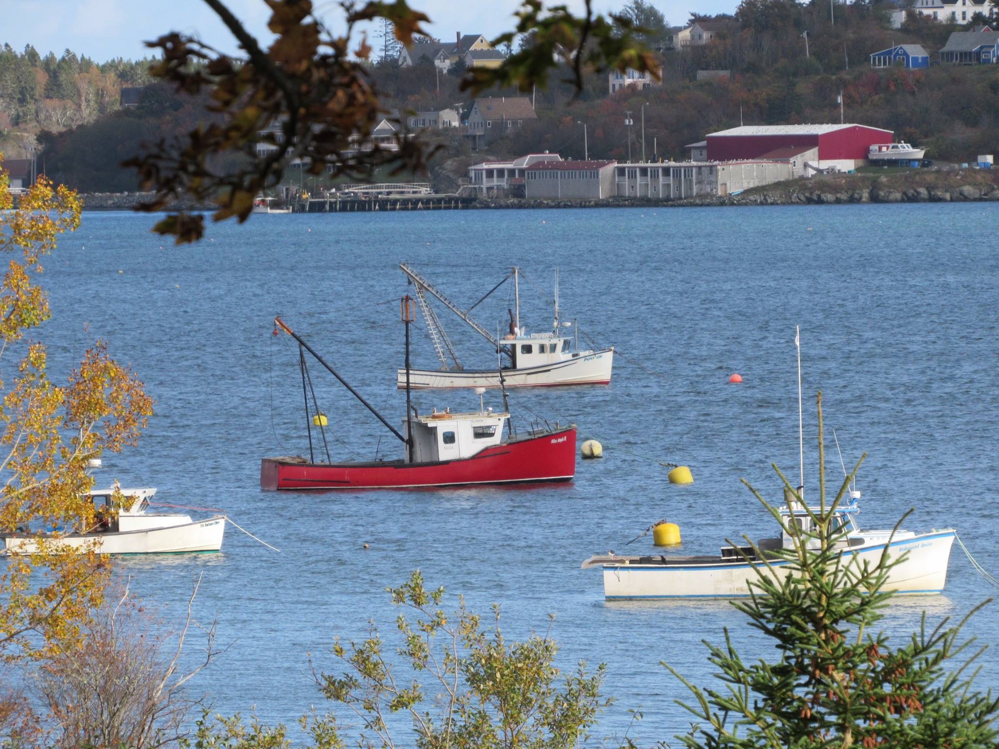SPECTACULAR SEASIDE FARMHOUSE Farm stays for Rent in Lubec, Maine
