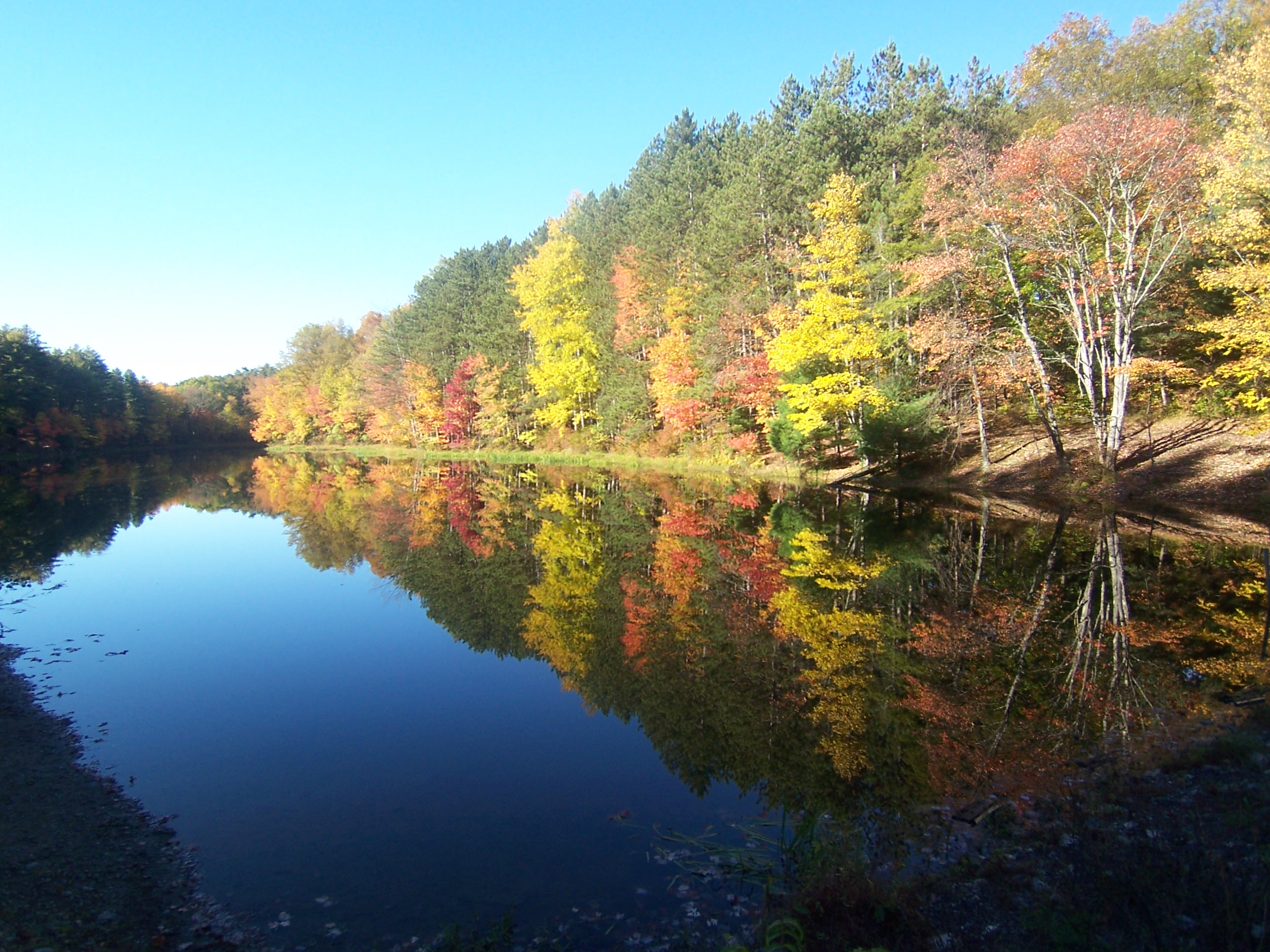 Cabin in a National Park (9) Dingmans Ferry Cabins for Rent in