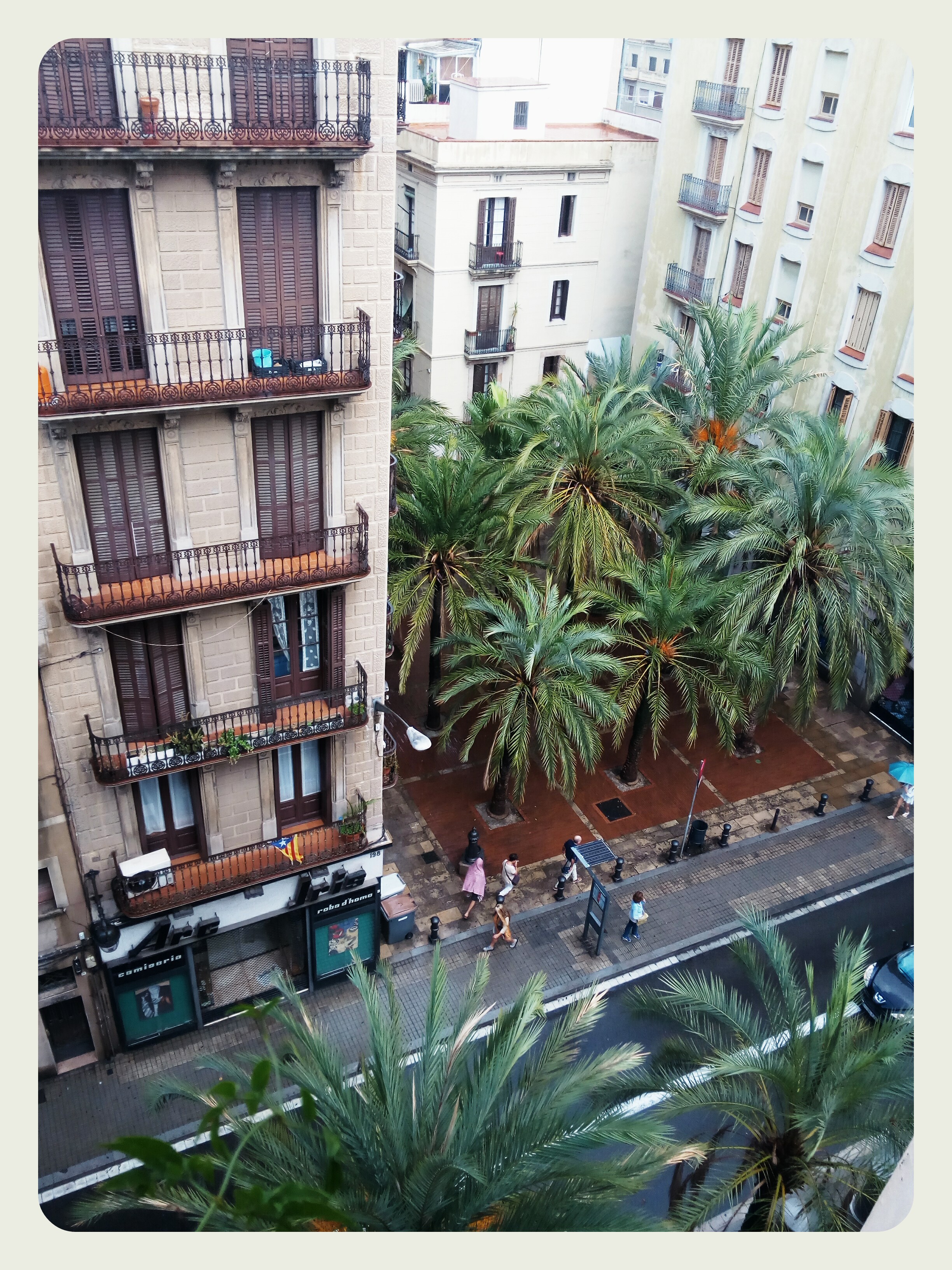 Photo de l’annonce