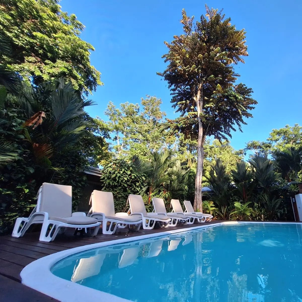 Alloro Jungle Villas - Fully Equipped Villa
