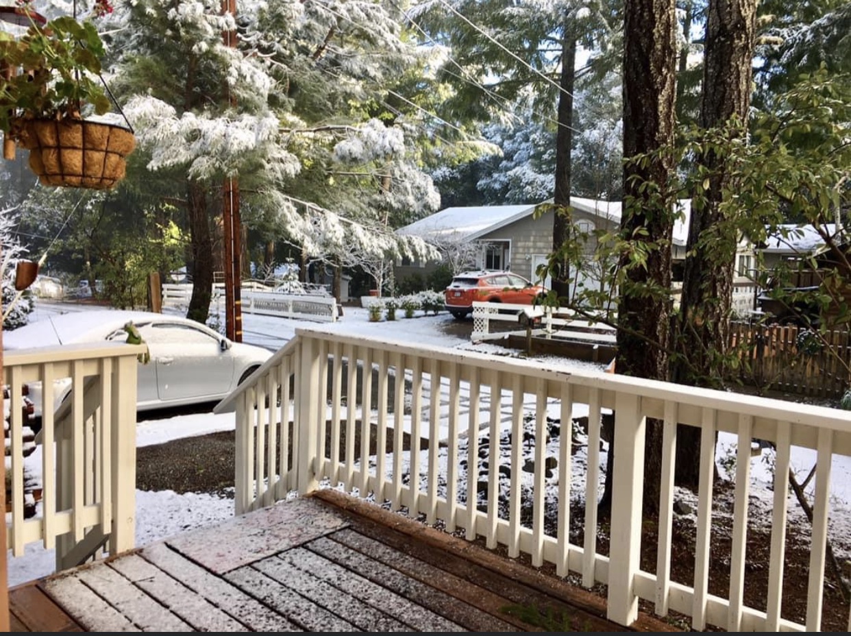 Tropical Inn The Redwoods Retreat Forest View Houses for Rent in