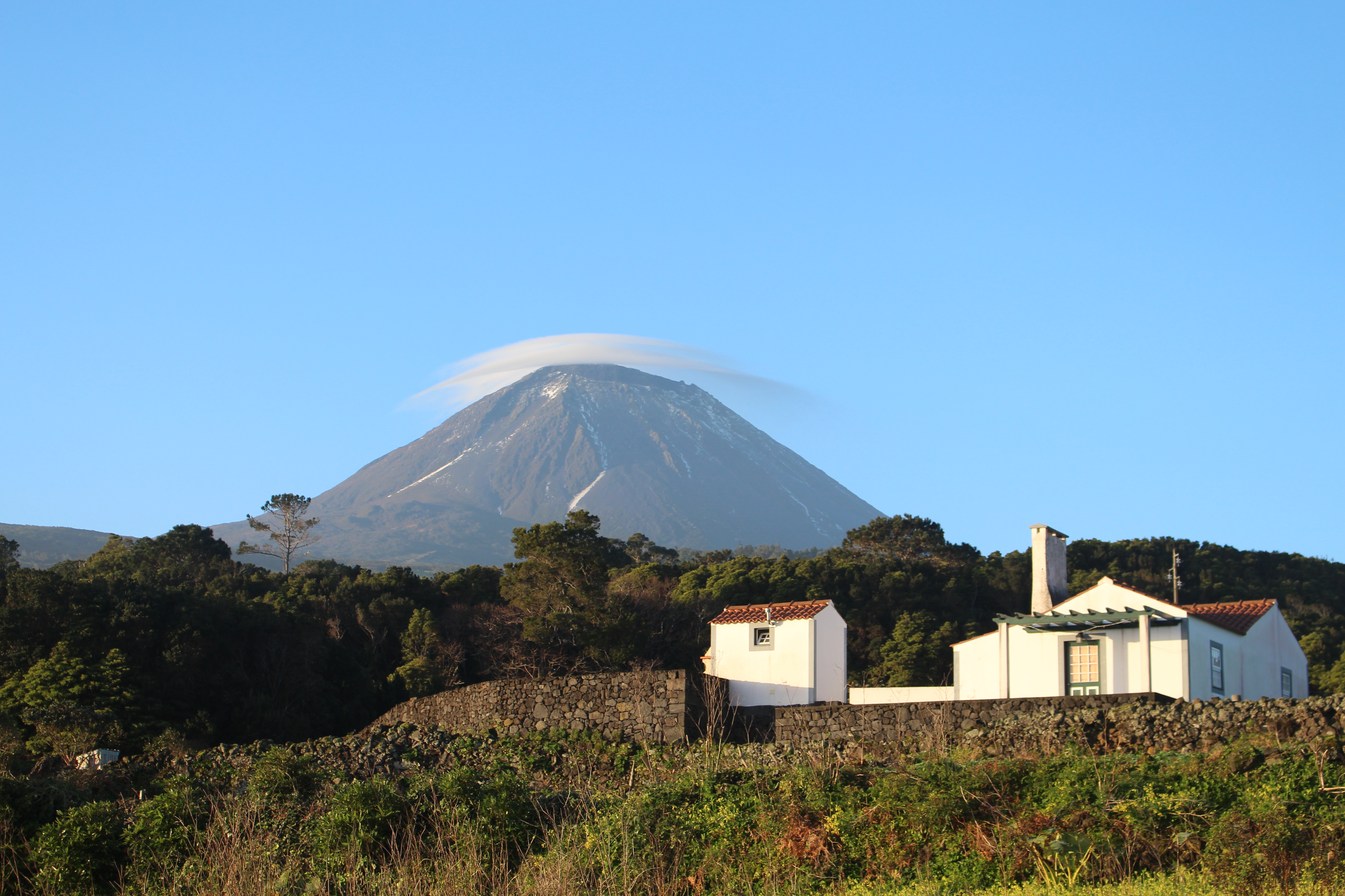 Cozy Paim-house house with great views