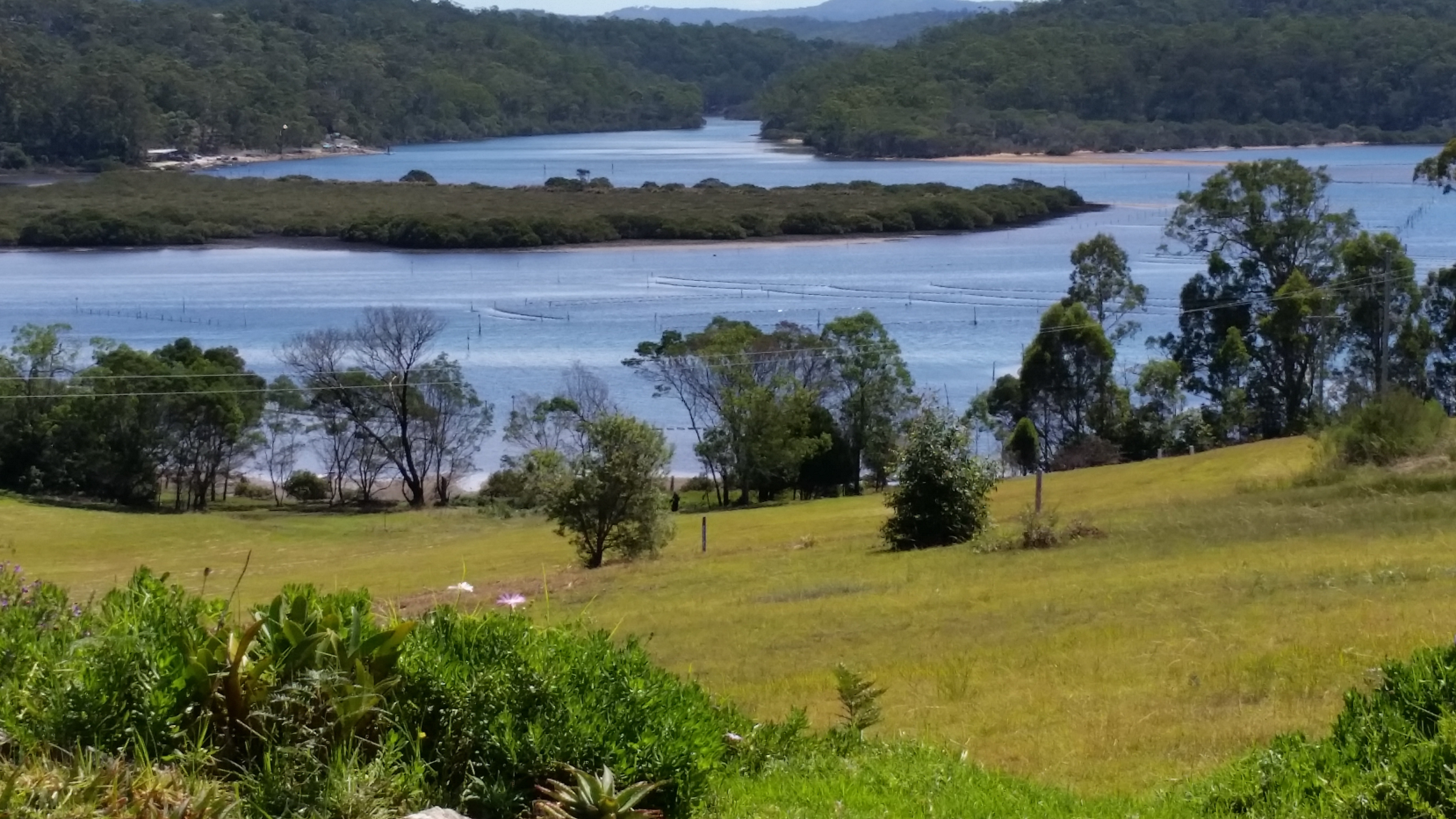Pet-friendly 5 acres near Pambula Lake and Beach