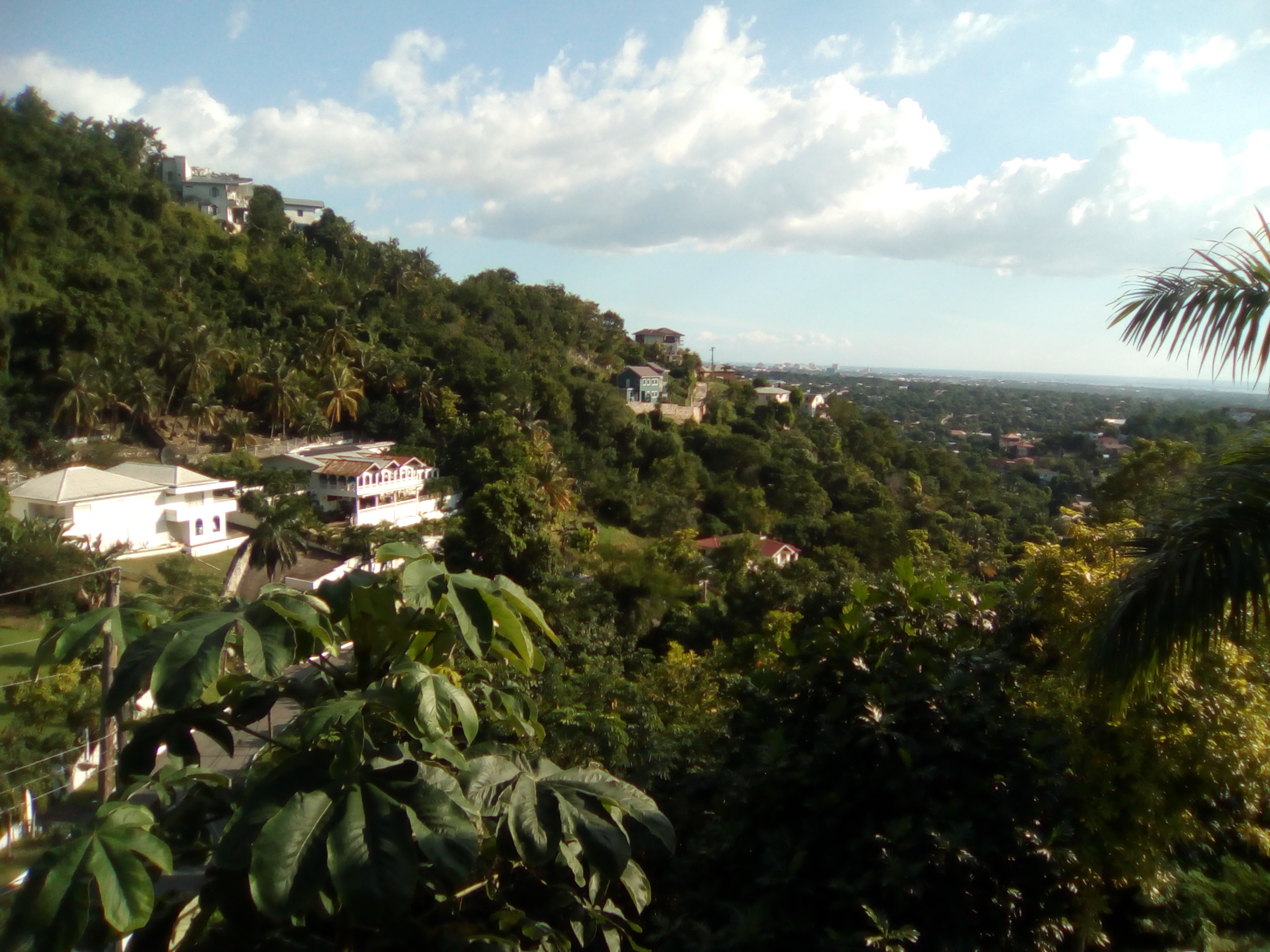 Belgrade Heights Houses for Rent in Kingston, St. Andrew Parish, Jamaica