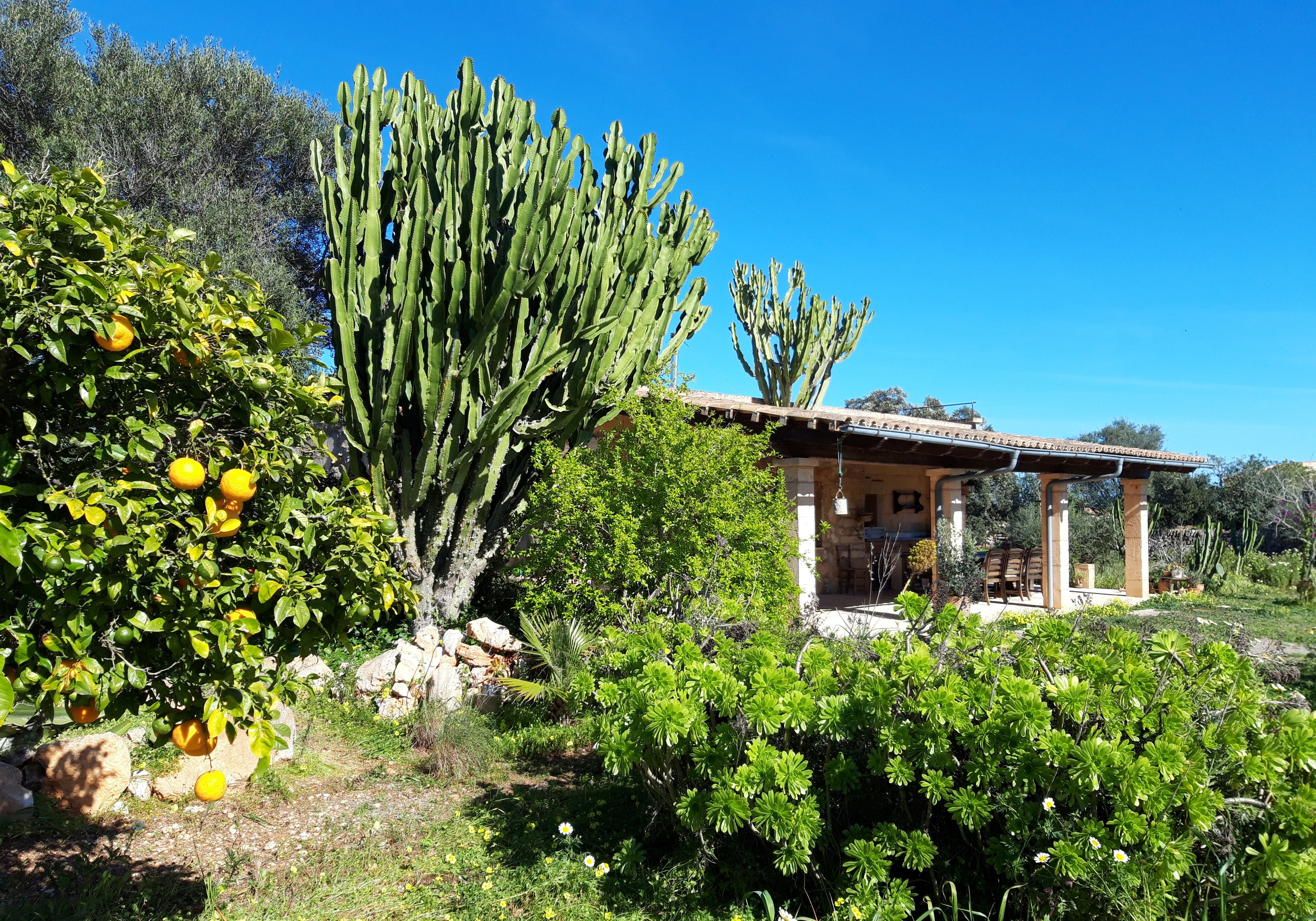 Traum Finca für zwei + Pool finca-ses-salines com in Campos, Mallorca