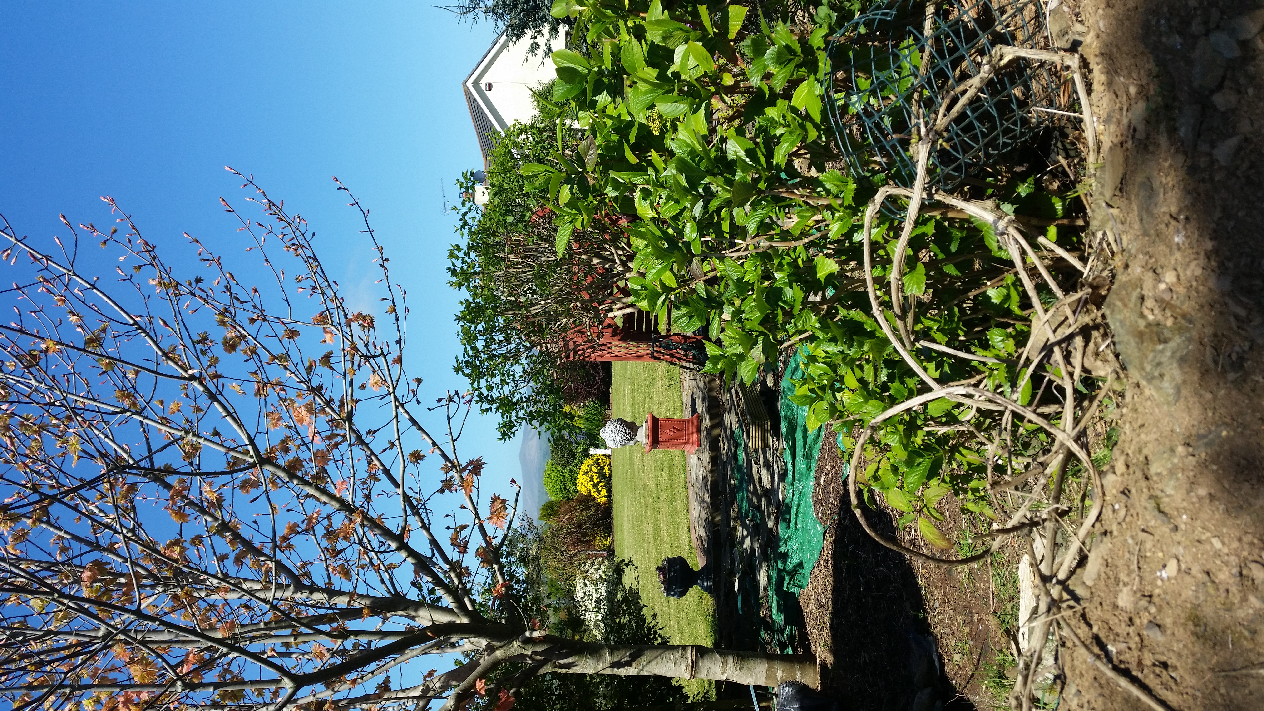 SuperhostGorey, County Wexford, Ireland The cottage is located in a private courtyard and it is only a ute drive to Morriscastle Select check-in date. Mollys Cottage at Wells House & Gardens, Wexford - Airbnb